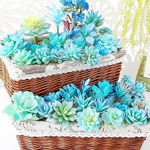 Miniatura 7 de Woohome 10 plantas suculentas artificiales, suculentas falsas azules, surtido de suculentas falsas sin maceta en azul flocado en diferentes tipos