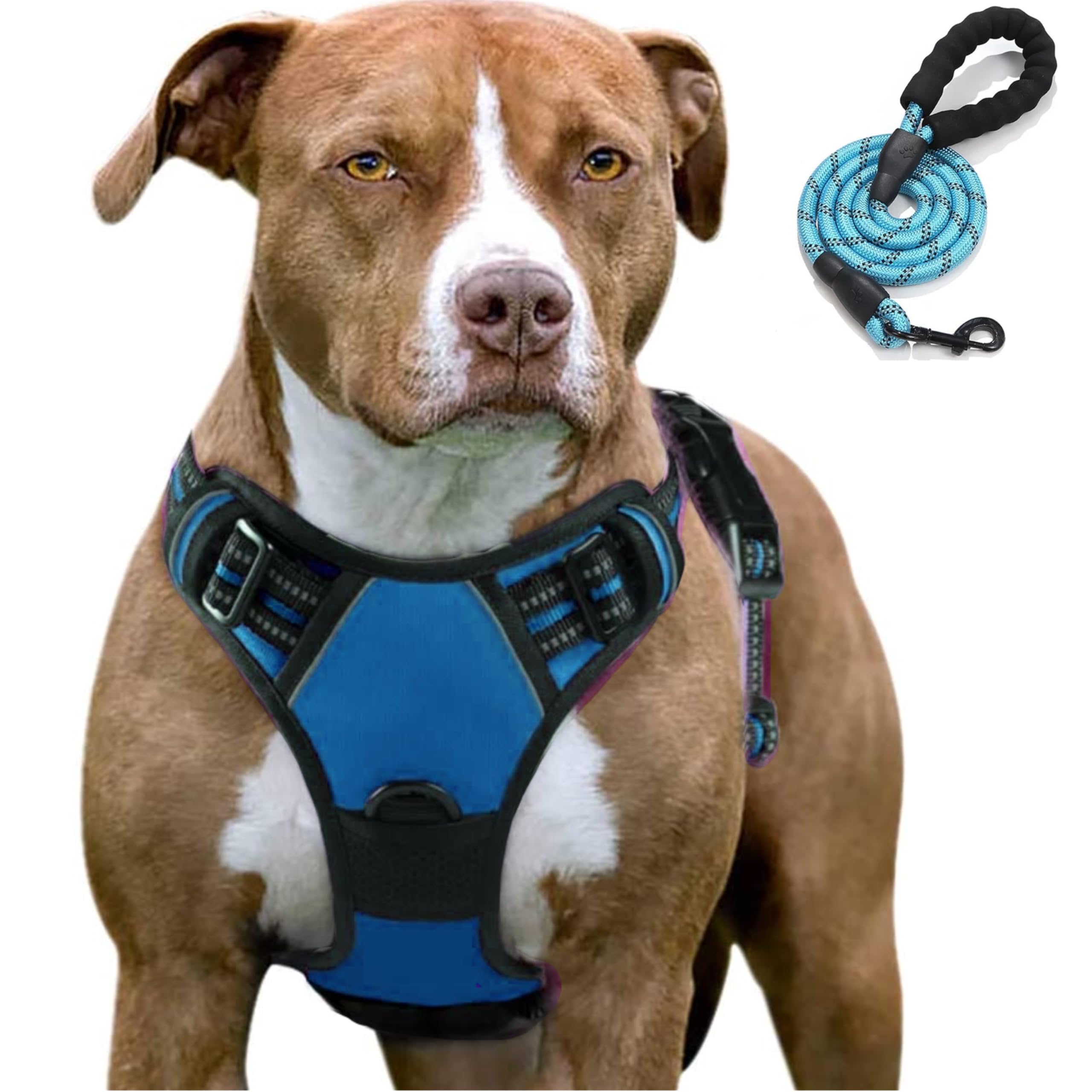 Arnes Antitirones Perro Mediano, Acolchado, Ajustable, Transpirable, Reflectante(Azul M)