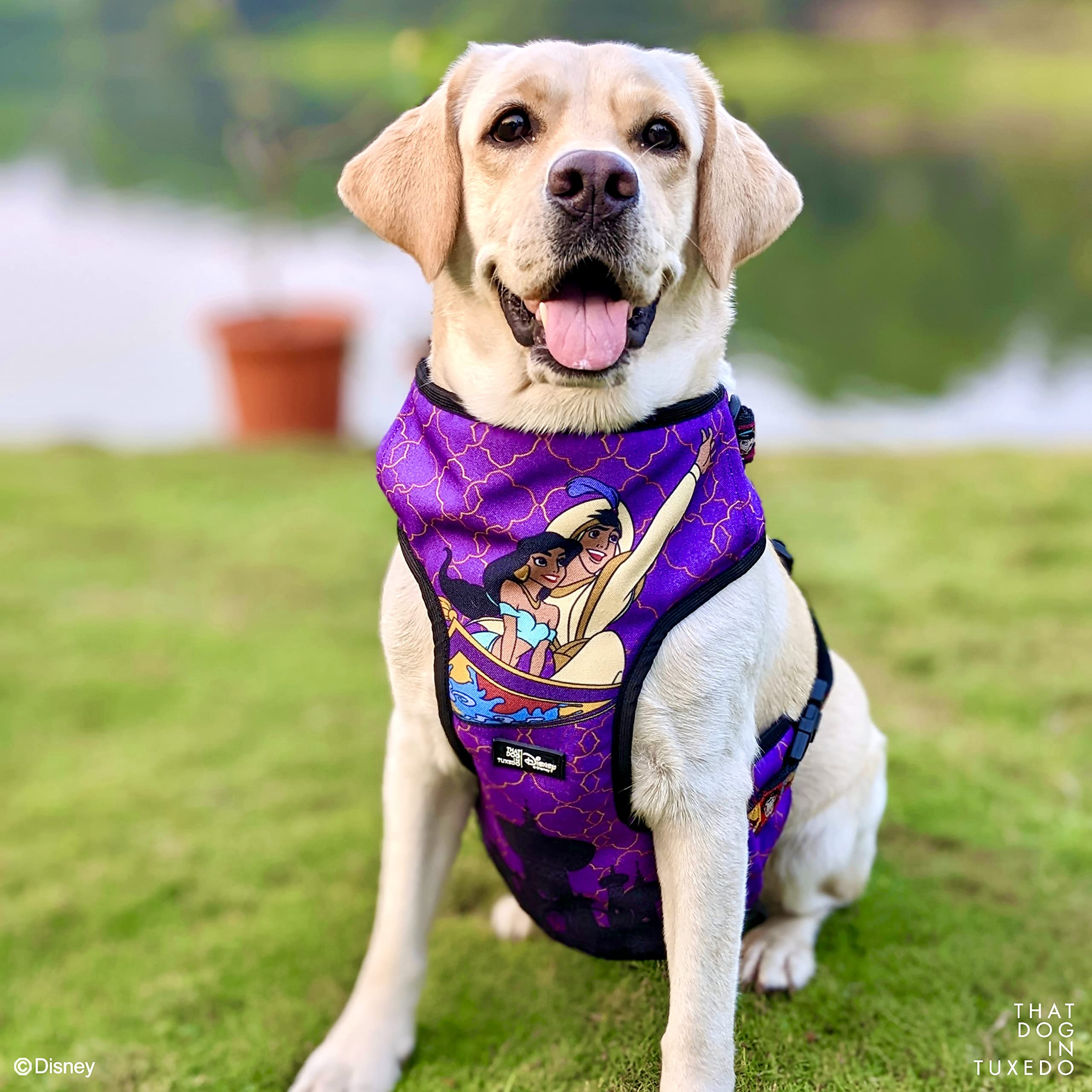 TDIT X Disney Aladdin Dog Body Mesh Harness/Body Belts for Dogs/Breathable Vest Dog Harness/Adjustable Dog Harness (Aladdin/Jasmine Harness with Leash, L) (B0BHZFVV84) Amazon Price History, Amazon Price Tracker