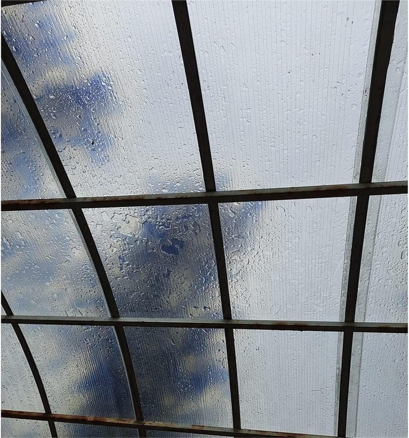 Polycarbonate Greenhouse Panels, Heat Insulation Shatter Resistant Easier to Cut Bend with Screw(1x5m)