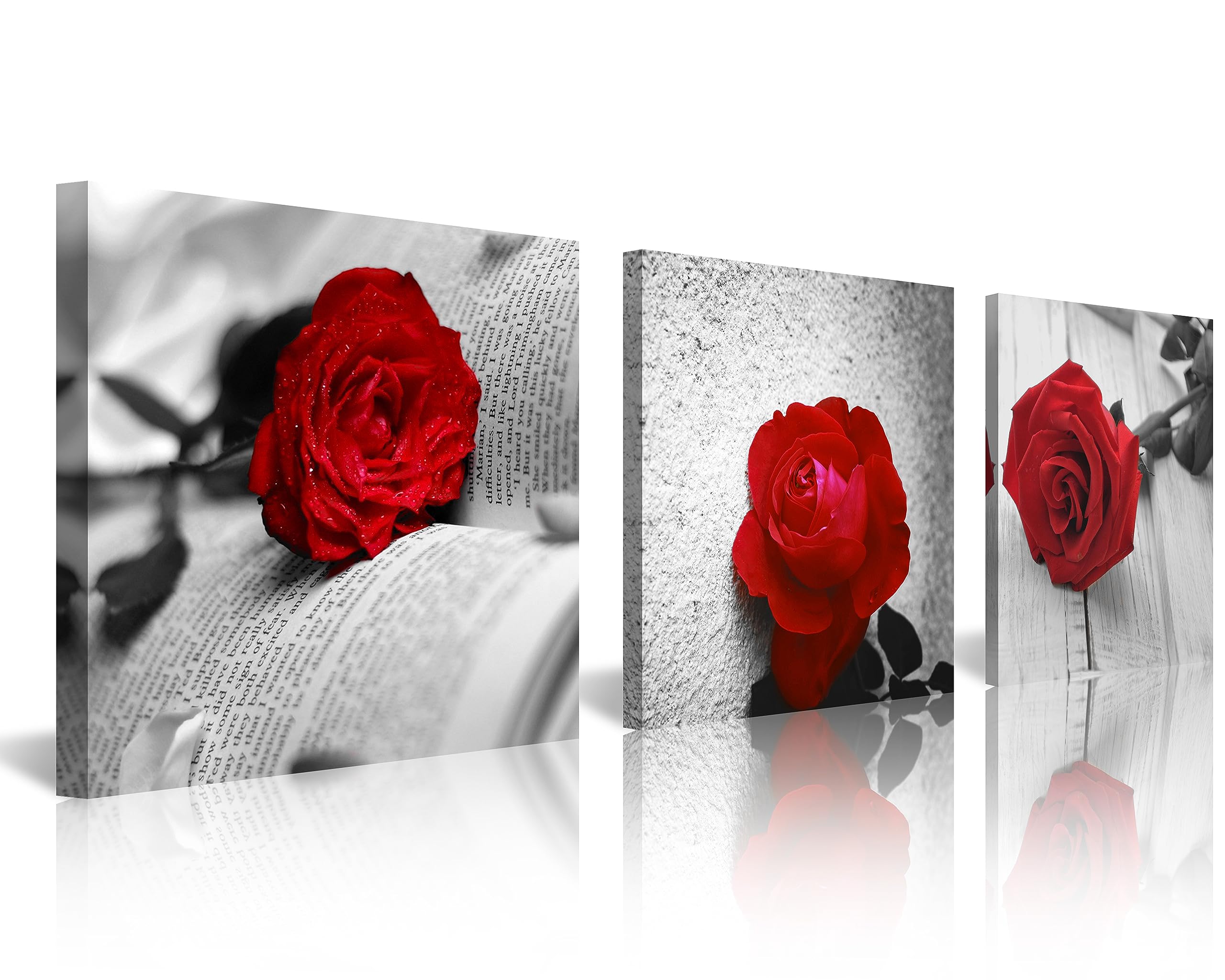 Amazon.co.jp: NAN Wind 3 Pcs モダンキャンバスペインティング 黒と白