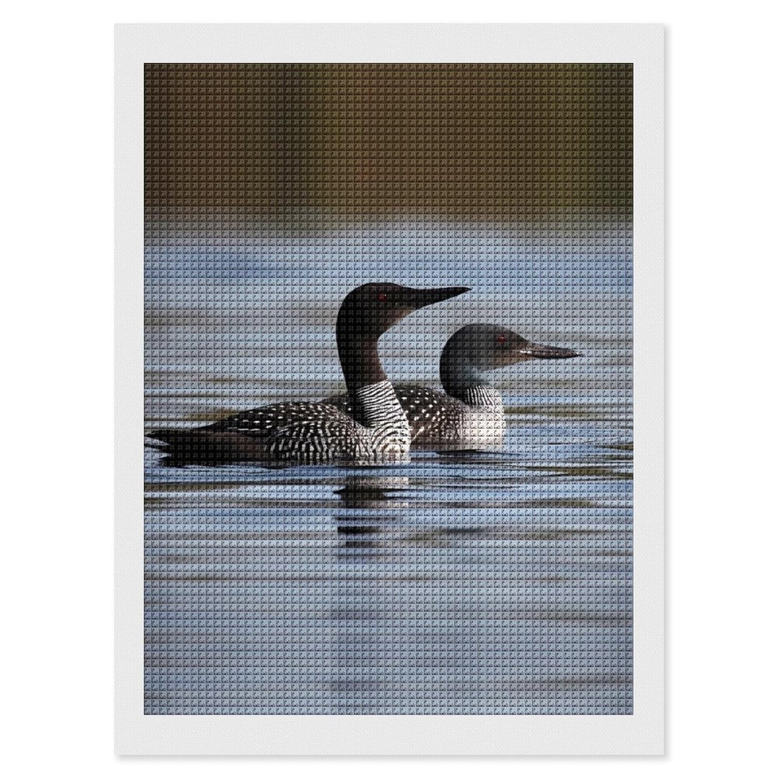 FodPand Loon Birds 5D Diamond Painting Kits for Adults Beginners Full Drill Square Diamond Dots Pictures Gem Art Supplies for Home Wall Room Decoration DIY Craft Set Gift 12x16