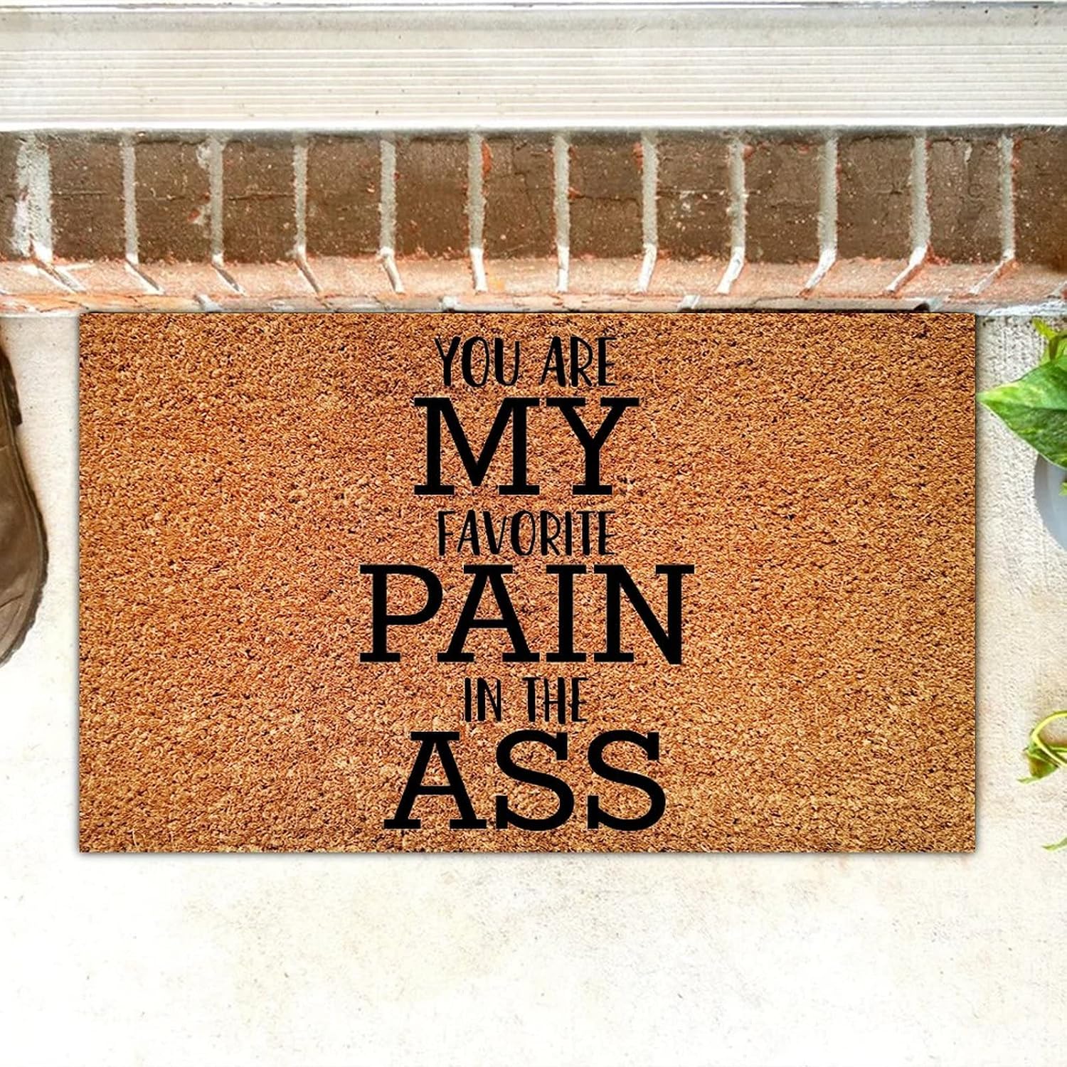 Christmas Coir Doormat,You are My Favorite Pain in The Ass Decorative Natural Coir Doormat with Non-Slip Backing Indoor Outdoor Entrance Entryway Doormat Christmas Coir Mat Rug Xmas Gifts 24"x36"