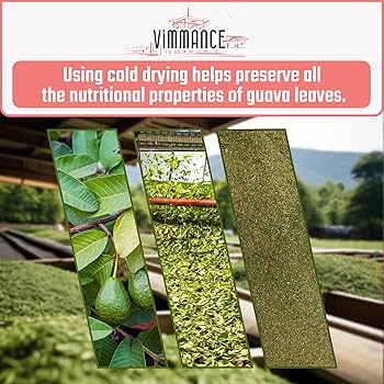 Amazon.com : VIMMANCE Guava Leaves Tea Bags, 120 counts