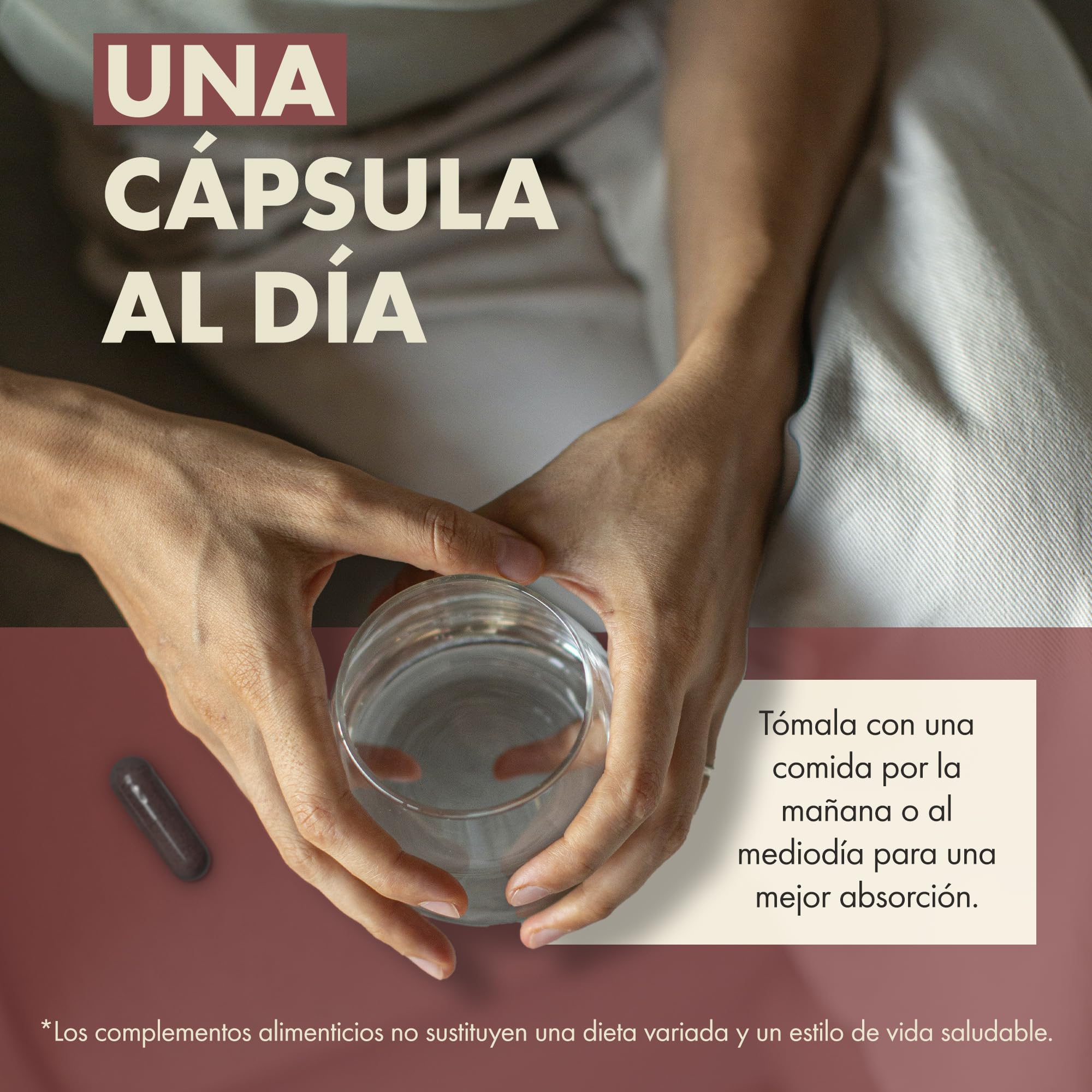 Incite Nutrition Reishi + Licopeno Complex – 60 cápsulas veganas | Apoyo inmunitario y antioxidante | Polvo de reishi (Ganoderma lucidum) y licopeno al 10% | Sin conservantes