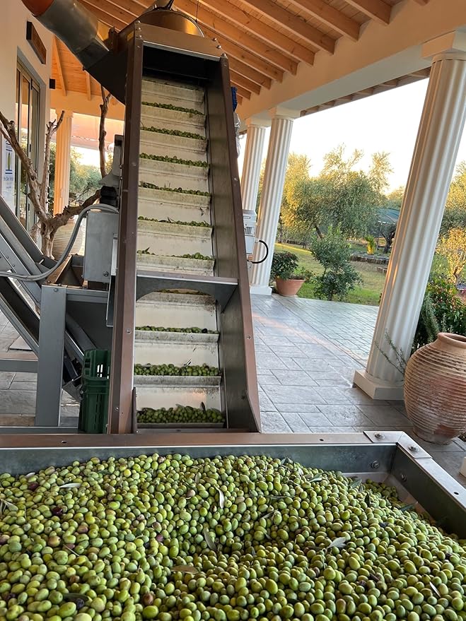 The Olive Temple Aceite de Oliva Extra Virgen Saborizado 250 ml miniatura 8