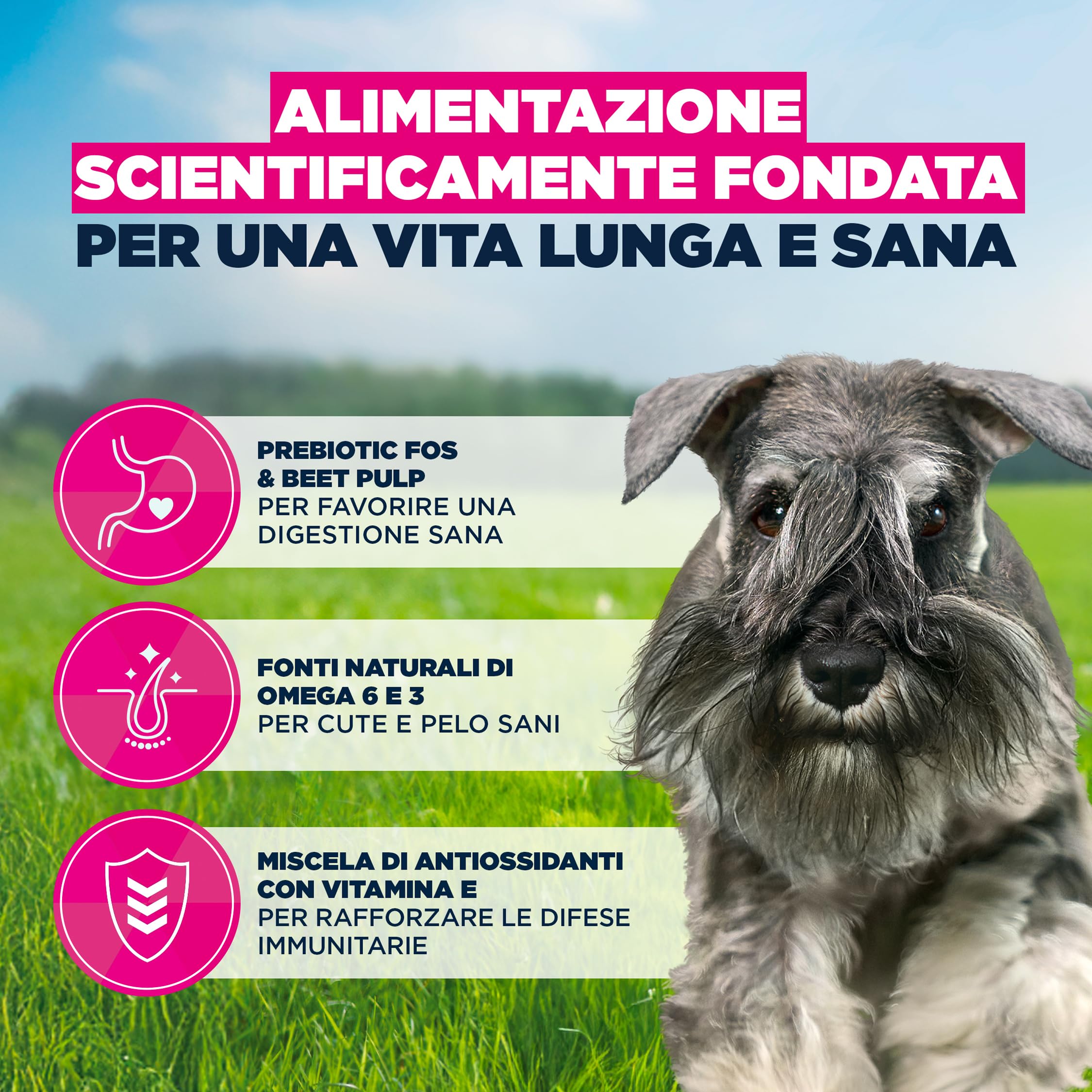 EUKANUBA Cibo secco per Cani con pollo fresco per razze di taglia piccola - Alimento secco premium per Cani adulti, 3 kg