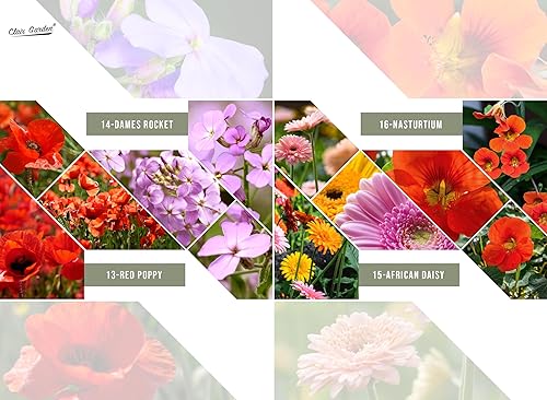 Miniatura 8 de Mezcla de flores silvestres de California, 10,000 semillas, 17 variedades, sin rellenos, polinizadas abiertas y sin OMG, flores de jardín perennes y