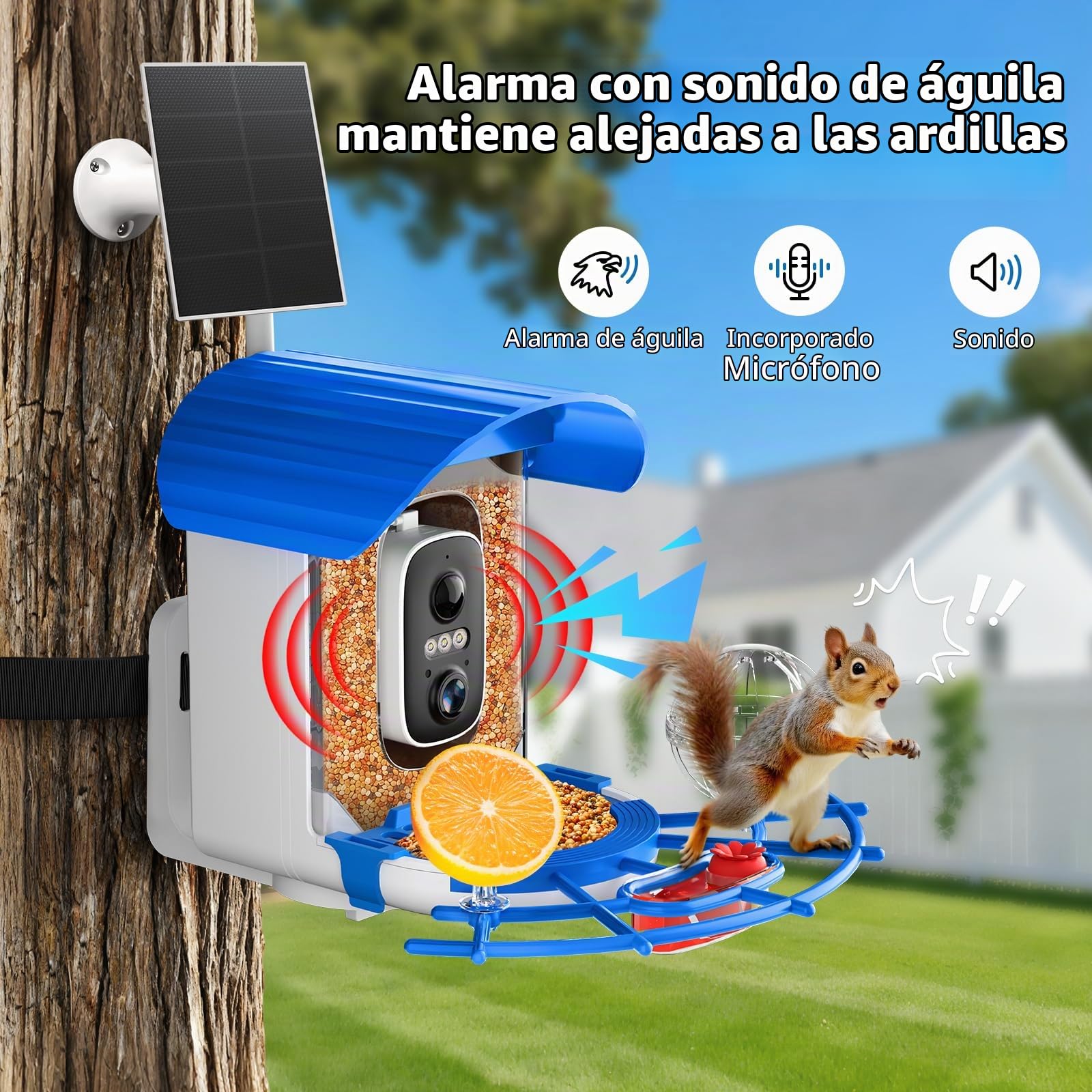 NIORSUN Comedero para Pájaros con Cámara 2K HD, Energía Solar, Reconocimiento IA de Aves, Visión Nocturna en Color, Notificación Instantánea & Grabación Automática | IP65 | 5200mAh | WiFi 2.4 GHz