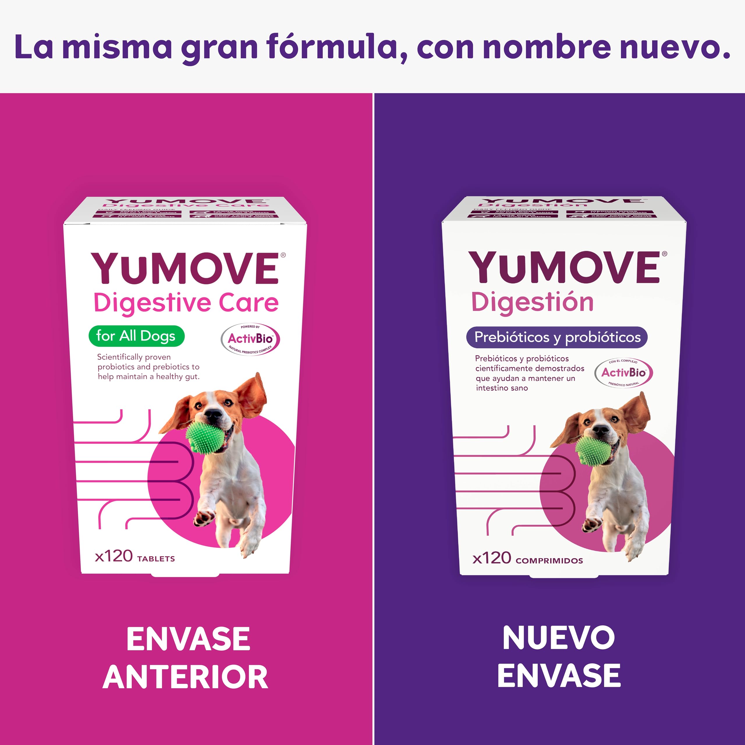 YuMOVE Probióticos para Perros 120 Pastillas - Fórmula ActivBio con L. Acidophilus, B. Bifidum & Prebióticos para Perros Naturales - Appoyo Intestinal, Digestión Saludable & Bienestar Canino Diario