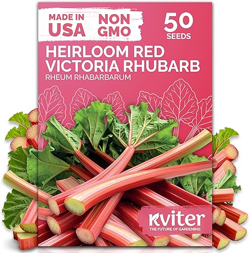 KVITER 50 semillas de ruibarbo rojo Victoria para plantar (Rheum Rhabarbarum) - Semillas orgánicas y tradicionales, semillas de vegetales perennes,