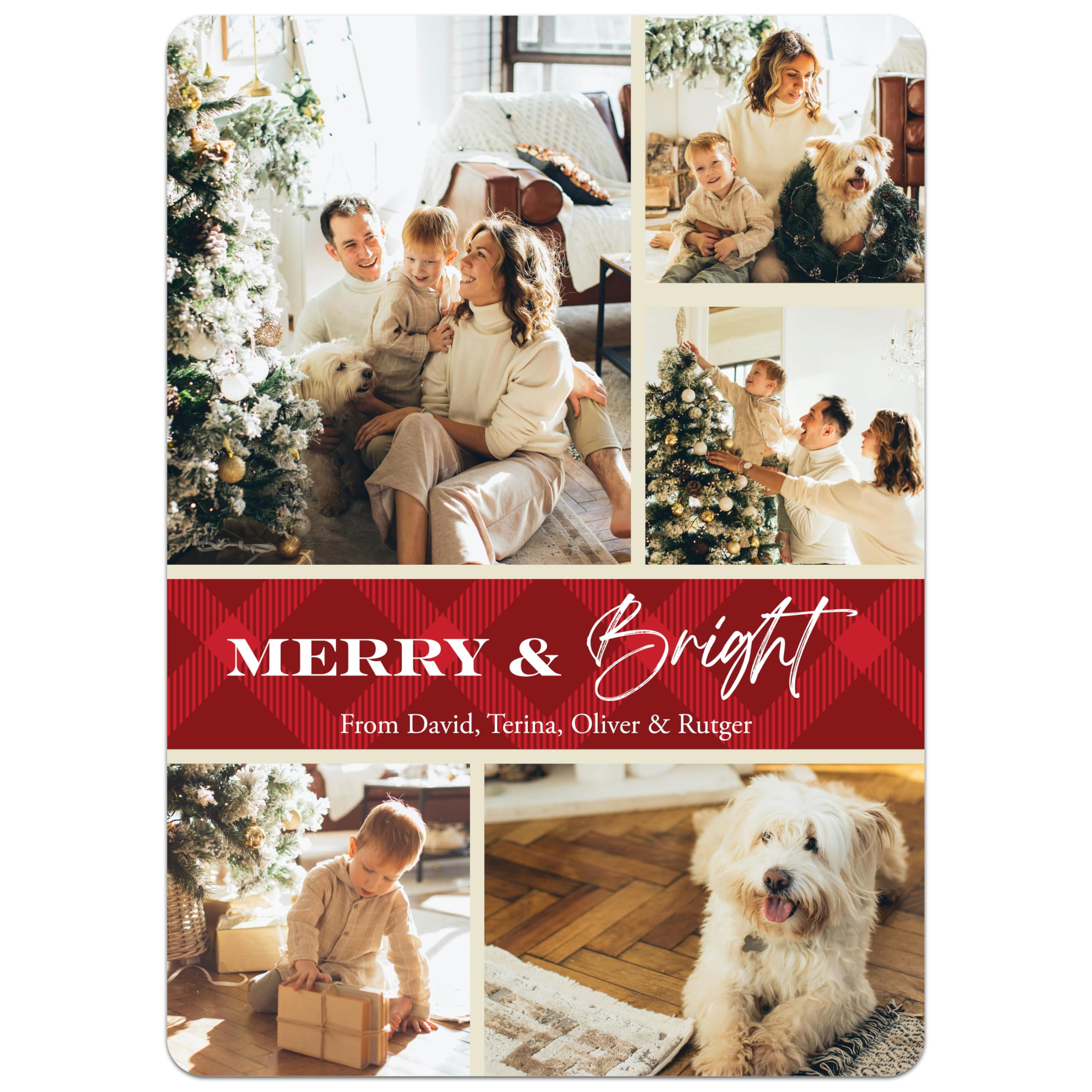 Custom Christmas Cards (15 to 200 Cards with Envelopes)...