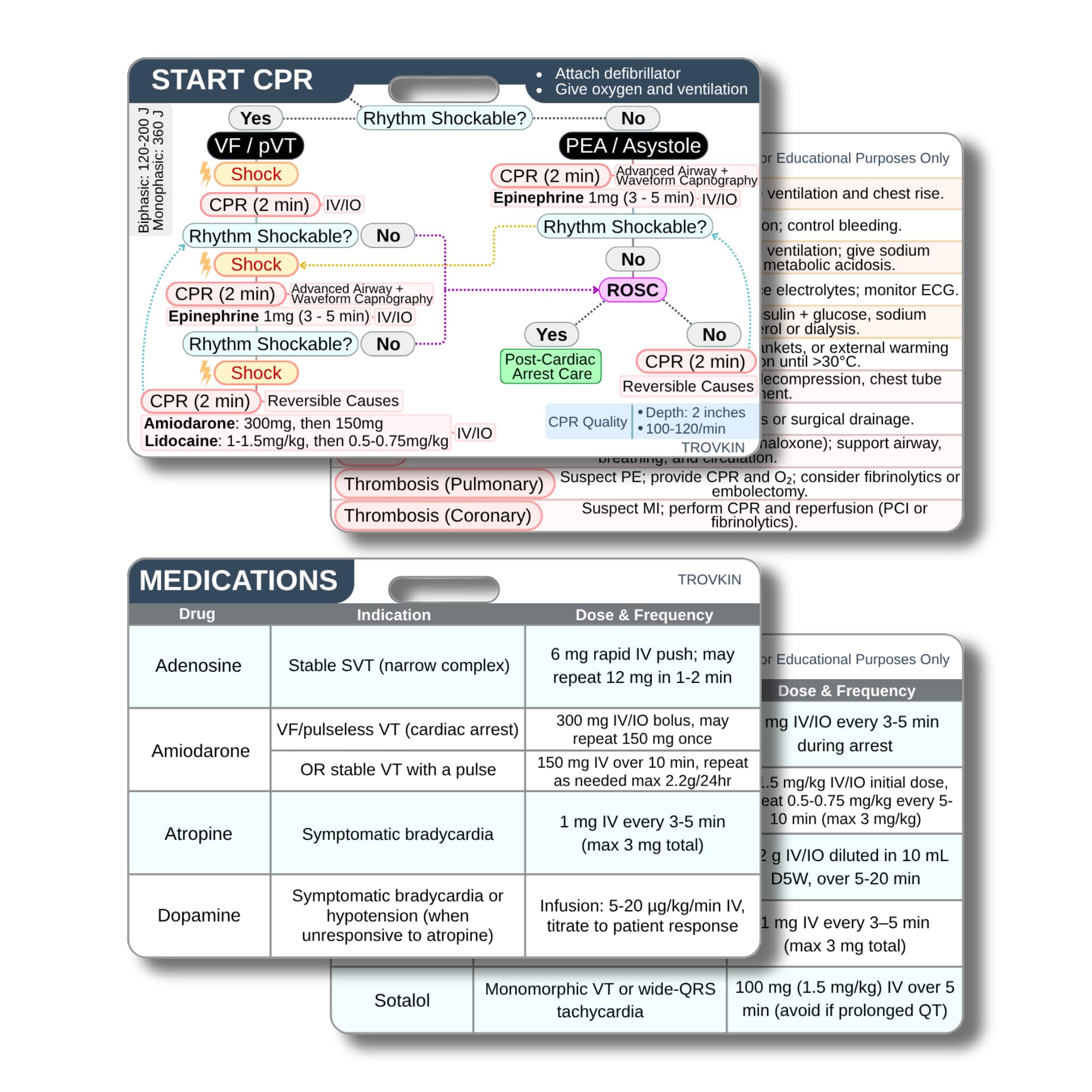 ACLS Badge Cards (Advanced Cardiac Life Support), Algorithm Reference Guide