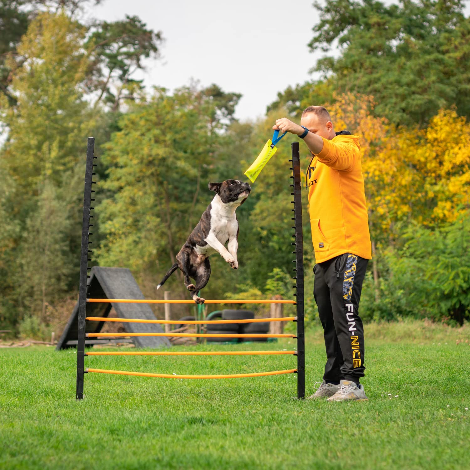 Bull Fit Manicotto per Cani, Cuciture Esterne, Fiocco, Manichetta Antincendio, Addestramento, Gioco