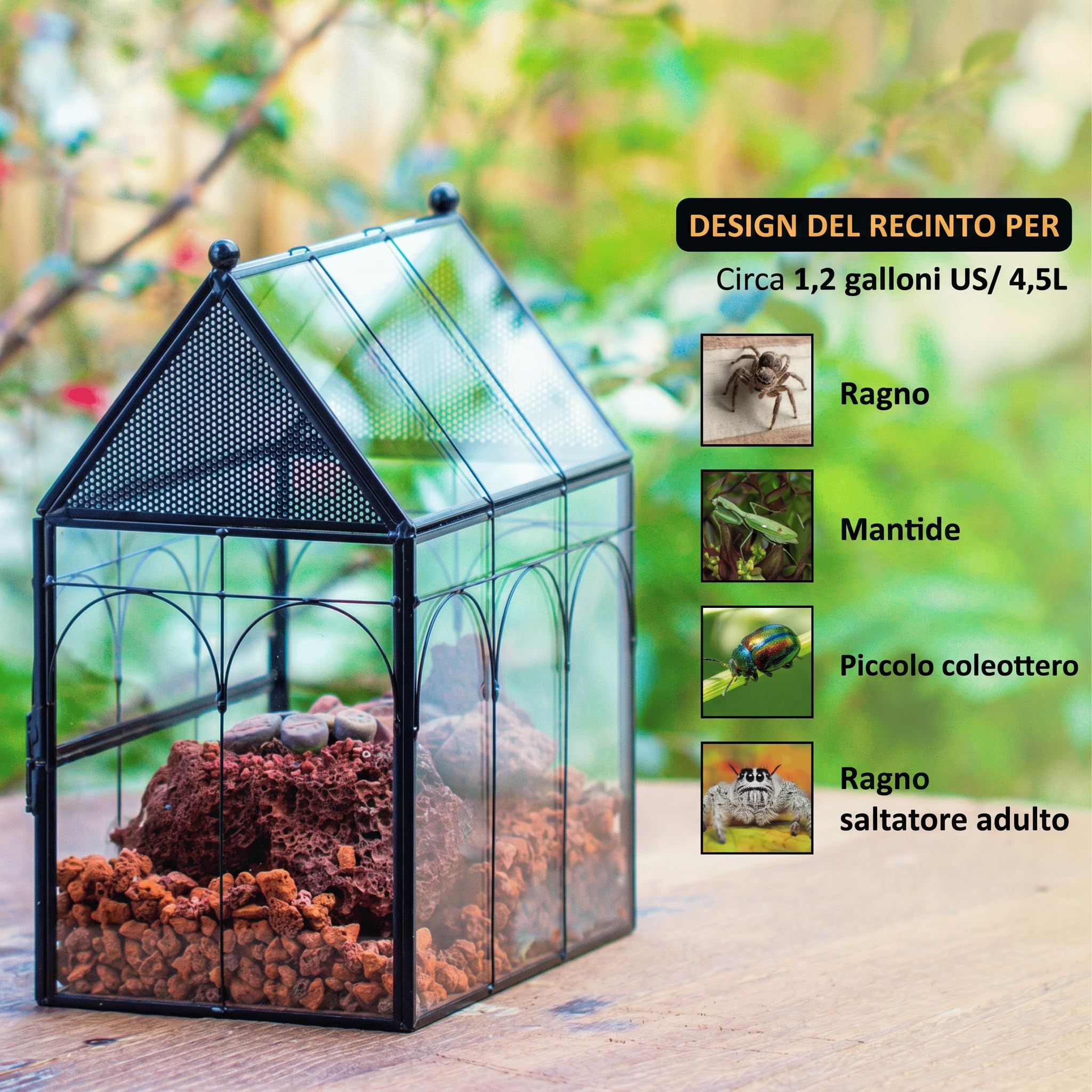 NCYP 19x12,5x23 cm Recinzione in vetro con fori di sfiato per insetti, ragni, lumache, piccola porta chiusa con apertura frontale, terario per piante grasse, habitat a forma di casa (Solo Terrario)