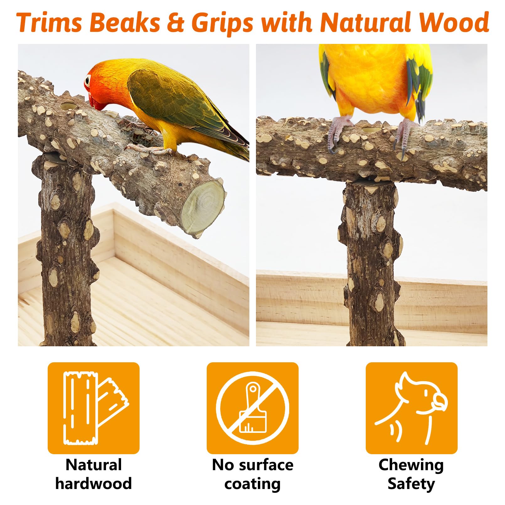 BNOSDM Portable Bird Perch Stand with Potty Tray, Natural Wood Tabletop Training Gym Parrot Playground Toy for Budgies, Cockatiels, Lovebirds,Conures - image 4