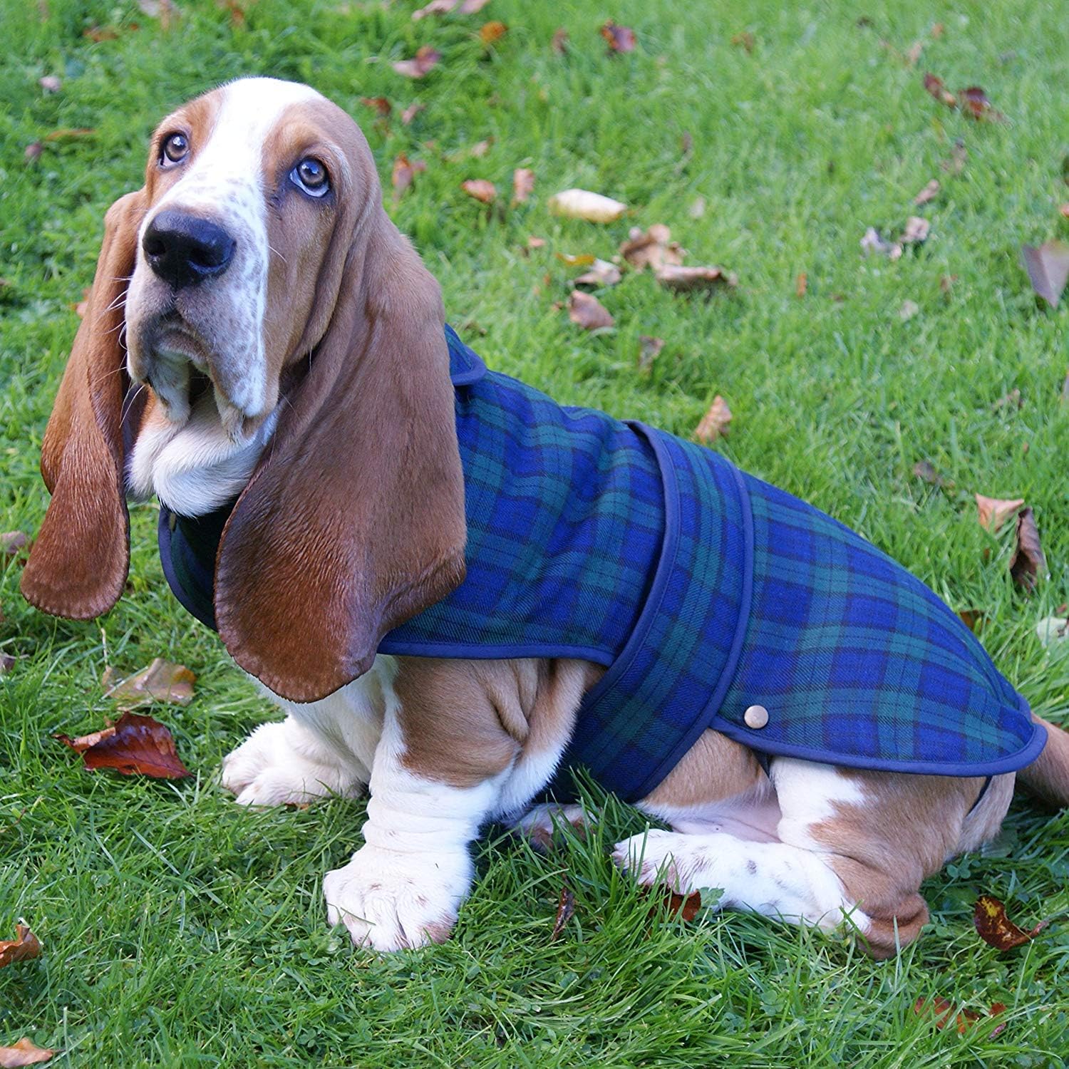 Glen Appin Lovely Shower-Proof Poly Viscose Black Watch Tartan Dog Coat with Fleece Lining- Available in 3 Sizes, Medium