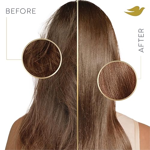 Miniatura 7 de Dove Ultra Care Champú de humedad diaria paquete de 4 para cabello seco con complejo Bio-Restore 31 oz