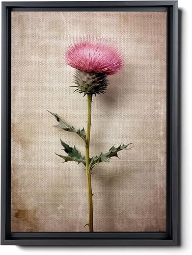 Thistle Wall Art, Botanical Print, Instant Prints, Boho Wall Decor, Nature Photography