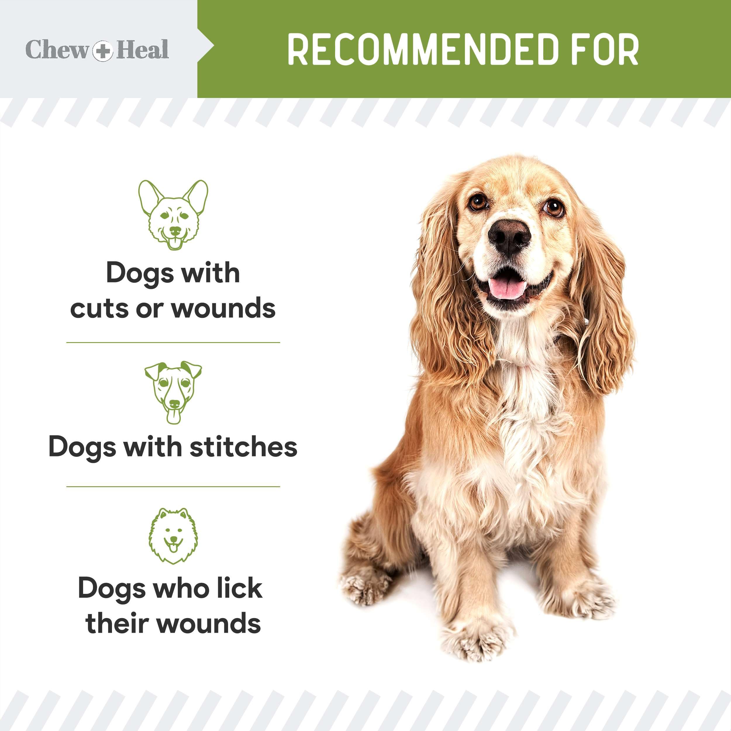 Chew + Heal Labs Liquid Bandage for Dogs 4oz Waterproof Spray Wound Care with Aloe for Cuts, Scrapes, Stitches, Paw Injuries - Breathable, Safe if Licked - image 3