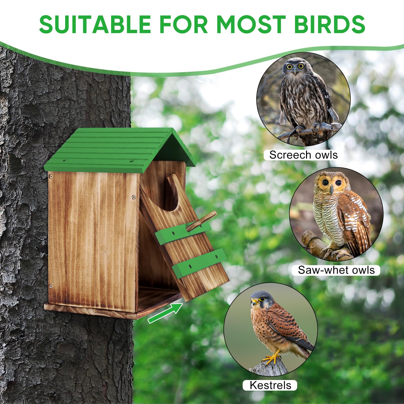 Vogelhaus Outdoor Eule Nistkasten Kiefernholz mit