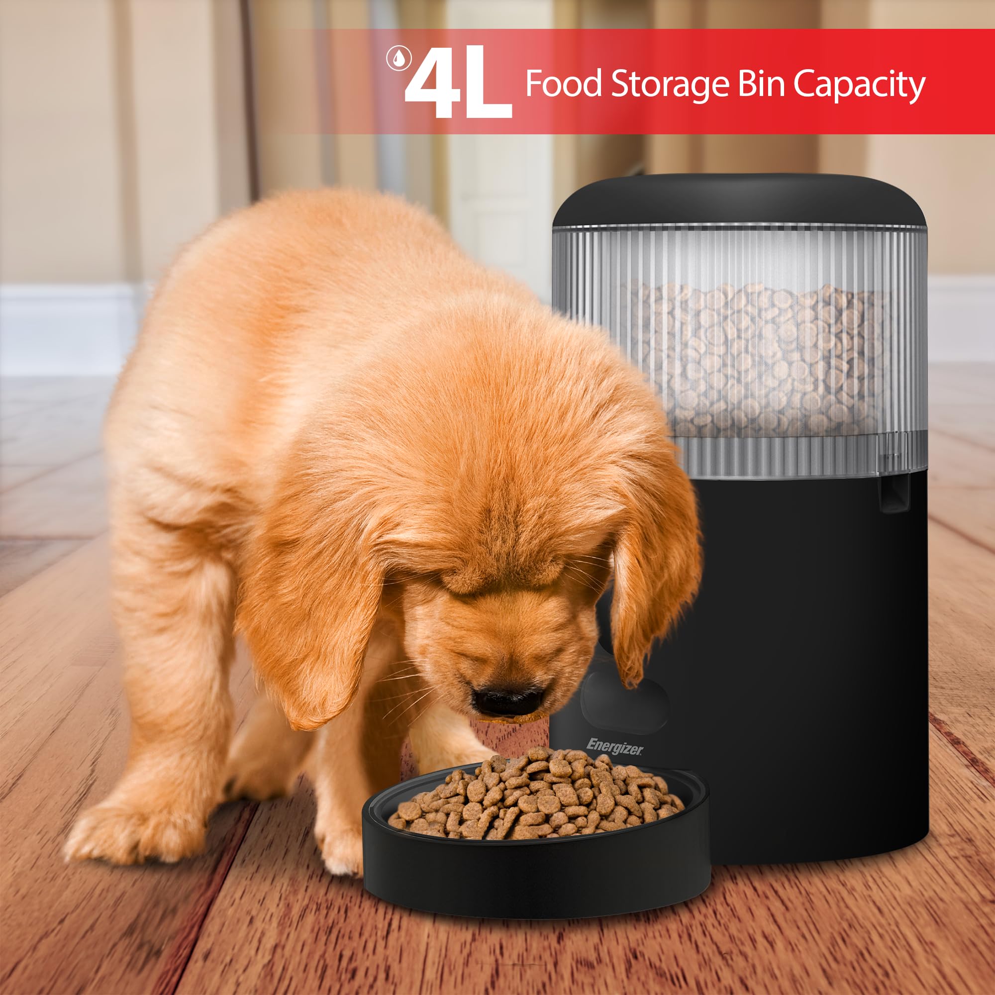 Energizer Smart Pet Feeder with 2K Video Camera, 5Ghz & 2.4Ghz Dual Band Wi-Fi, 2-Way Audio, Night Vision, 4L Food Capacity, Remote Feeding Dogs & Cats, Compatible with Alexa & Google, Records - image 3