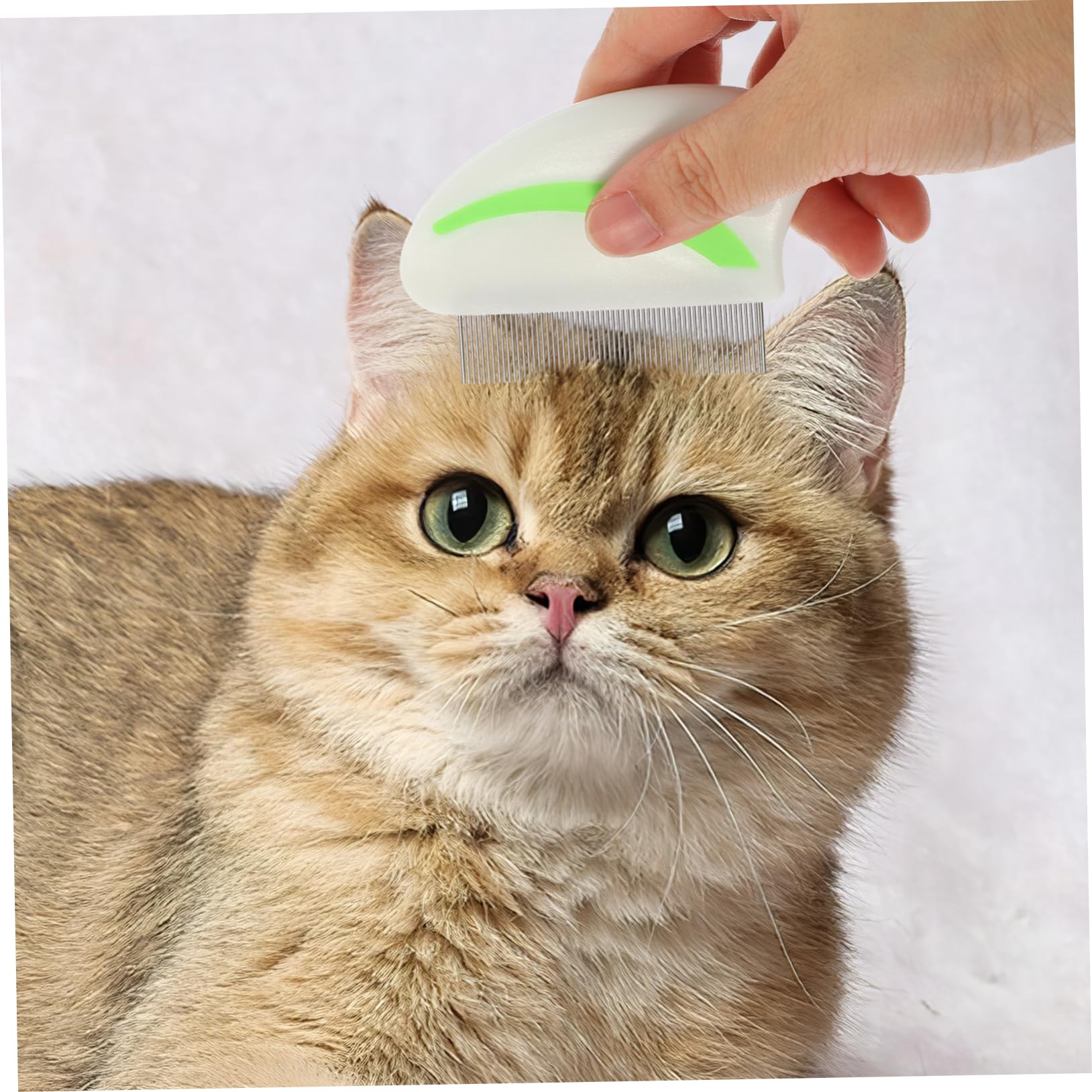minkissy 12stücke Edelstahl Flohkamm Für Hunde Katzen Effektive Reinigungsbürste Zur Entfernung Von Schmutz Ergonomischer Griff Rot Grün Leicht Tragbar