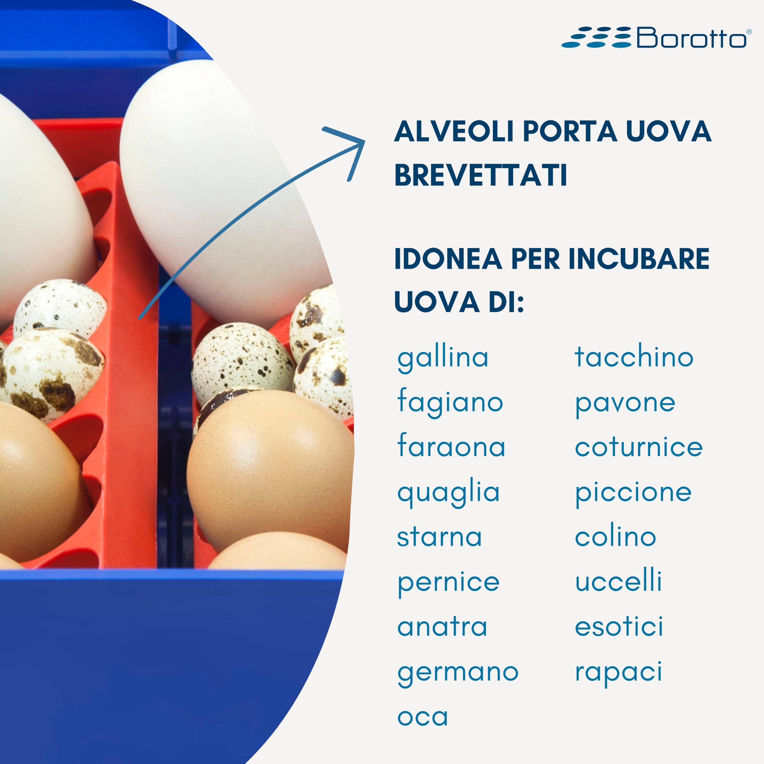 Borotto Lumia 8 | Incubatrice per Uova Automatica per 8 Uova o 32 Piccole con Girauova Automatico e Controllo della Temperatura | Made in Italy