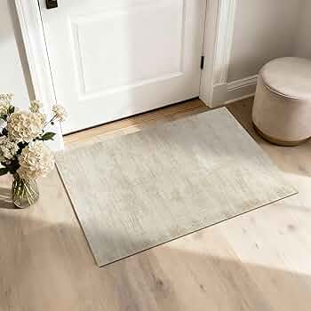 Amazon.com: Entryway Rugs 2x3,Abstract Neutral Farmhouse Washable