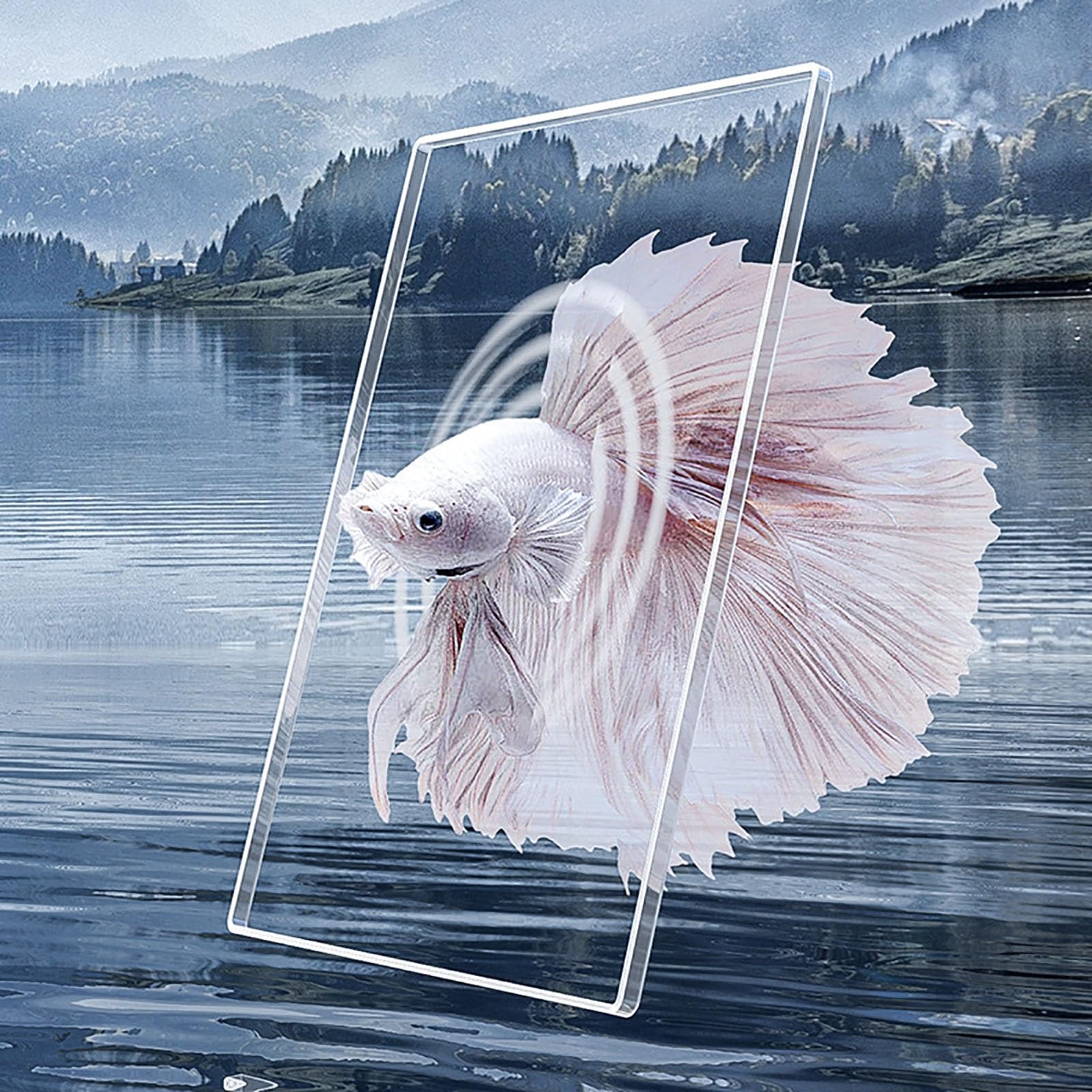Boîte D'élevage De Poissons D'aquarium Boîte D'Élevage De Poisson en Acrylique Boîte D'élevage en Plastique Transparent pour L'isolement, L'éclosion, L'élevage De Poissons, Etc(White,Single Layer)