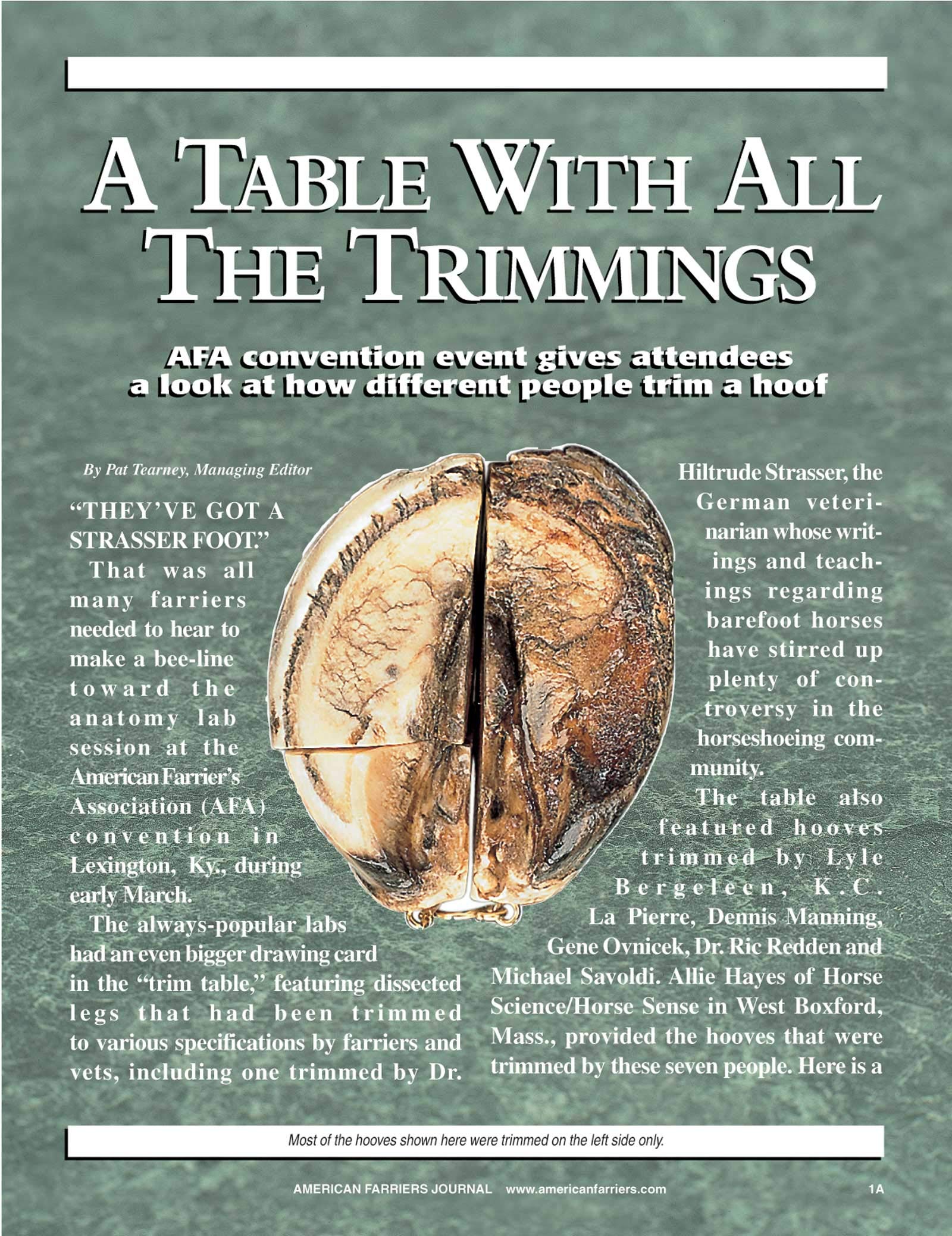 A Table With All The Trimmings