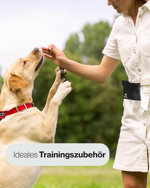 Foto 6 de 8 de DOGSTER® Bolsa para golosinas para perros - golosinas siempre contigo - Bolsa para aperitivos