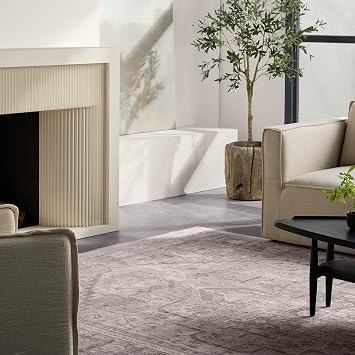 Jaipur Living Soft 3x8 Runner Rug, Boho, Taupe/Silver