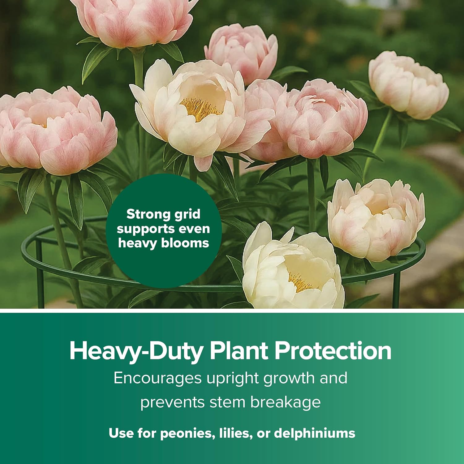 Gardman R754 Grow Through Hoops with 3 Legs, 16" Wide x 24.5" High.