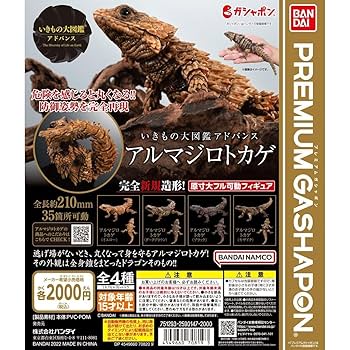 Amazon.co.jp: いきもの大図鑑 アドバンス アルマジロトカゲ