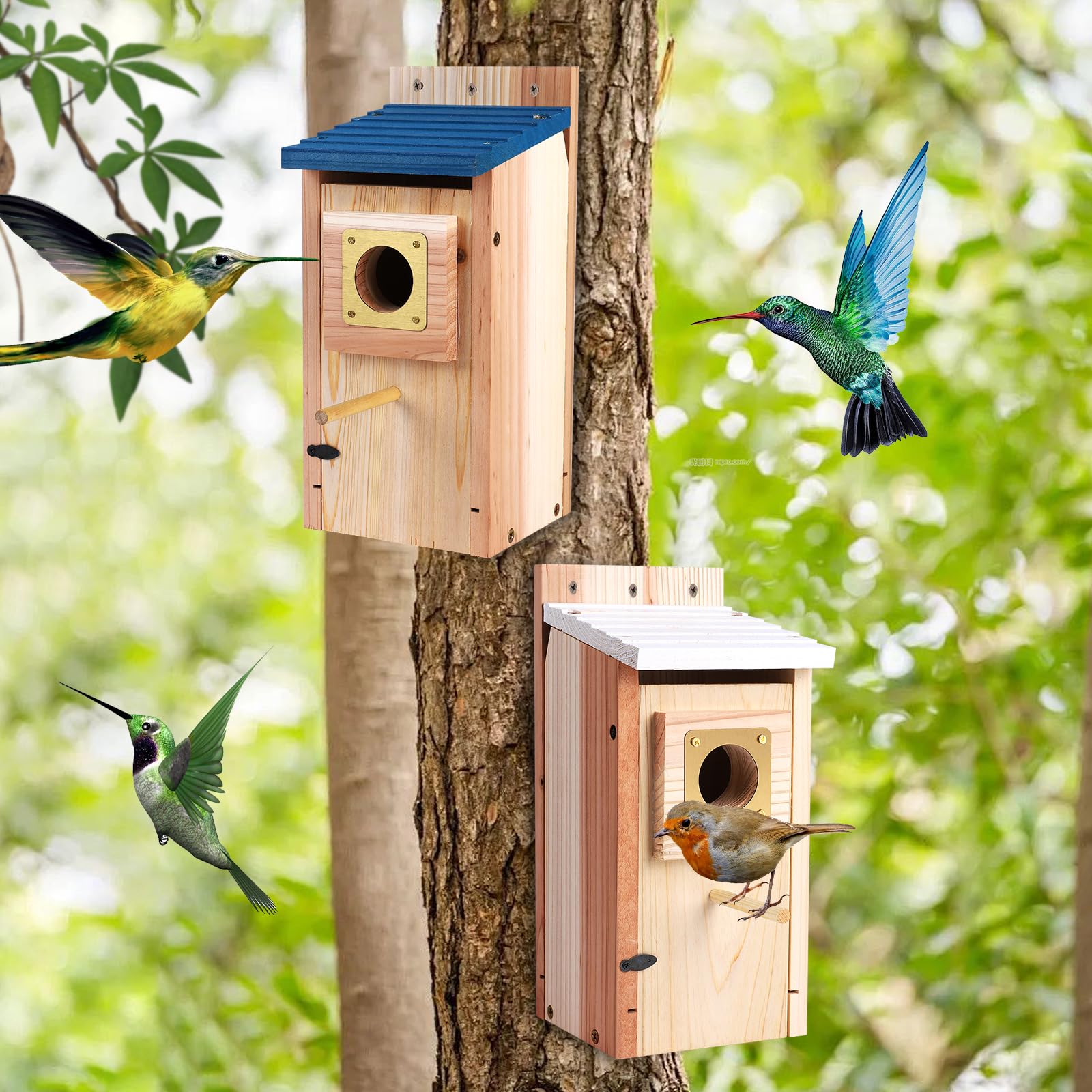 Casas para pájaros para exteriores, paquete de 2 con protector de cobre, espesar madera Bluebird House Liquidación Jardín casas de campo, caja anidadora para pinzones, golondrina, Wren, Chickadee Wild 3