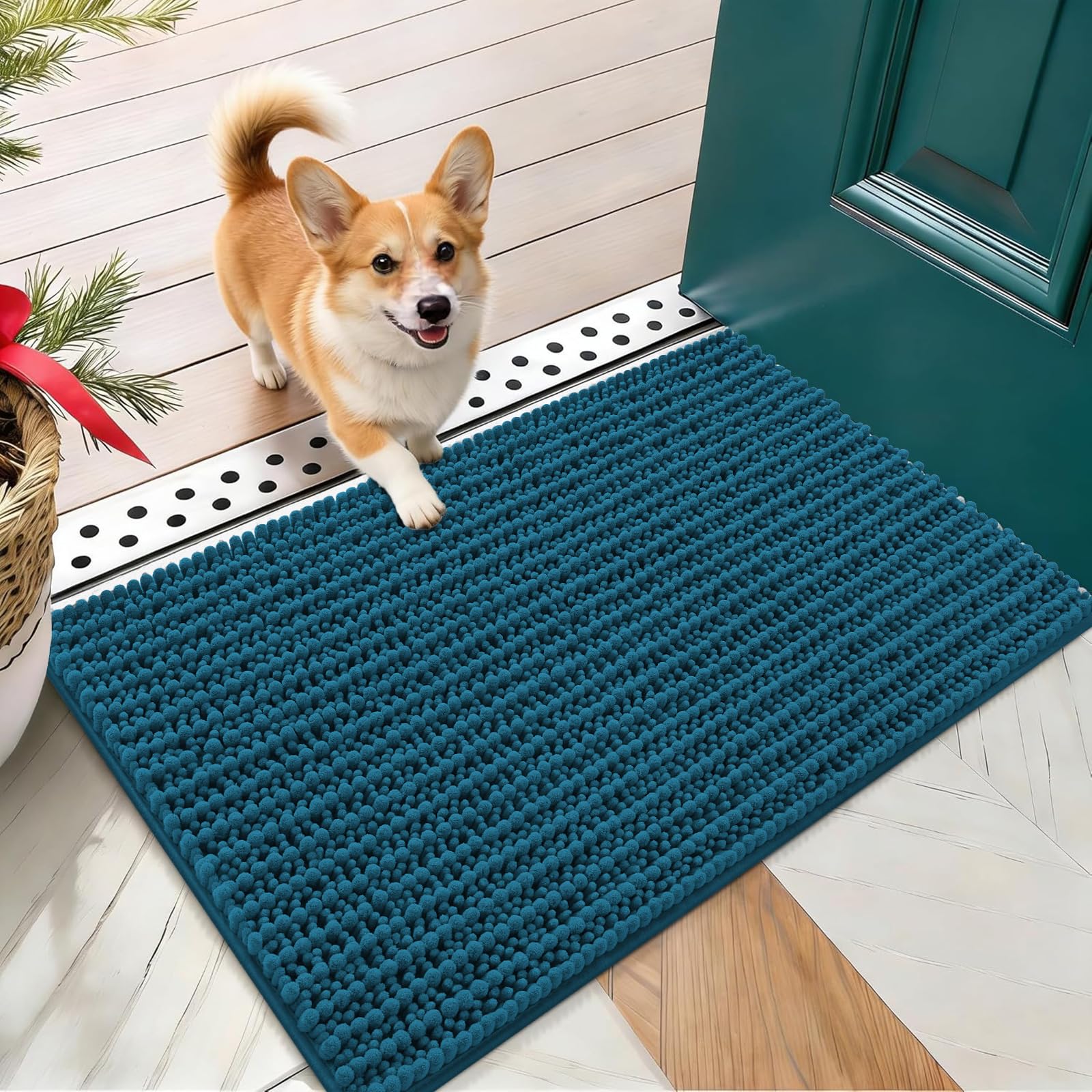 OLANLY Dog Door Mat for Muddy Paws 24x16, Ultra-Absorbent Chenille Mud Mat