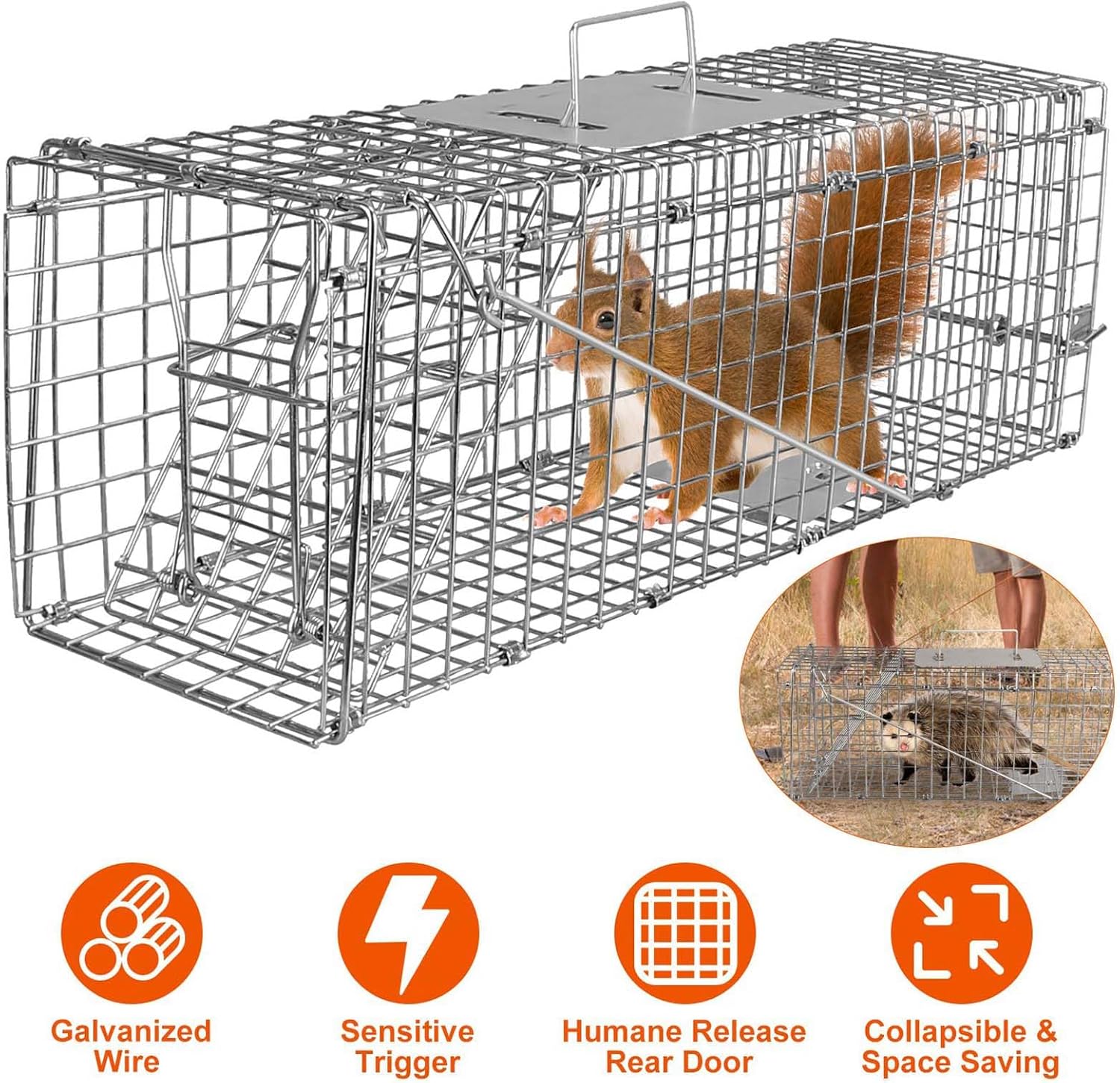 humane live animal cage trap, 23.3x7.2x7.7 inch collapsible live animal cage trap rabbits, stray cats, raccoon, mole, squirrels outdoor small animal trap, humane catch & release 23.3"x7.2"x7.7"