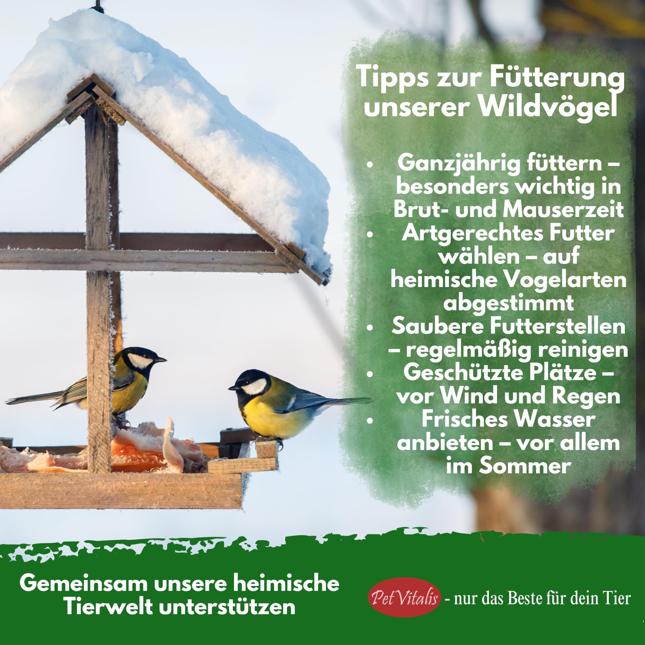 Mehlwürmer getrocknet 5 kg – Premium Einzelfuttermittel für Wildvögel, Ergänzung zum Vogelfutter – Proteinreicher Snack für Fische, Reptilien & Nager – Ganzjahresfutter für Igel & Eichhörnchen