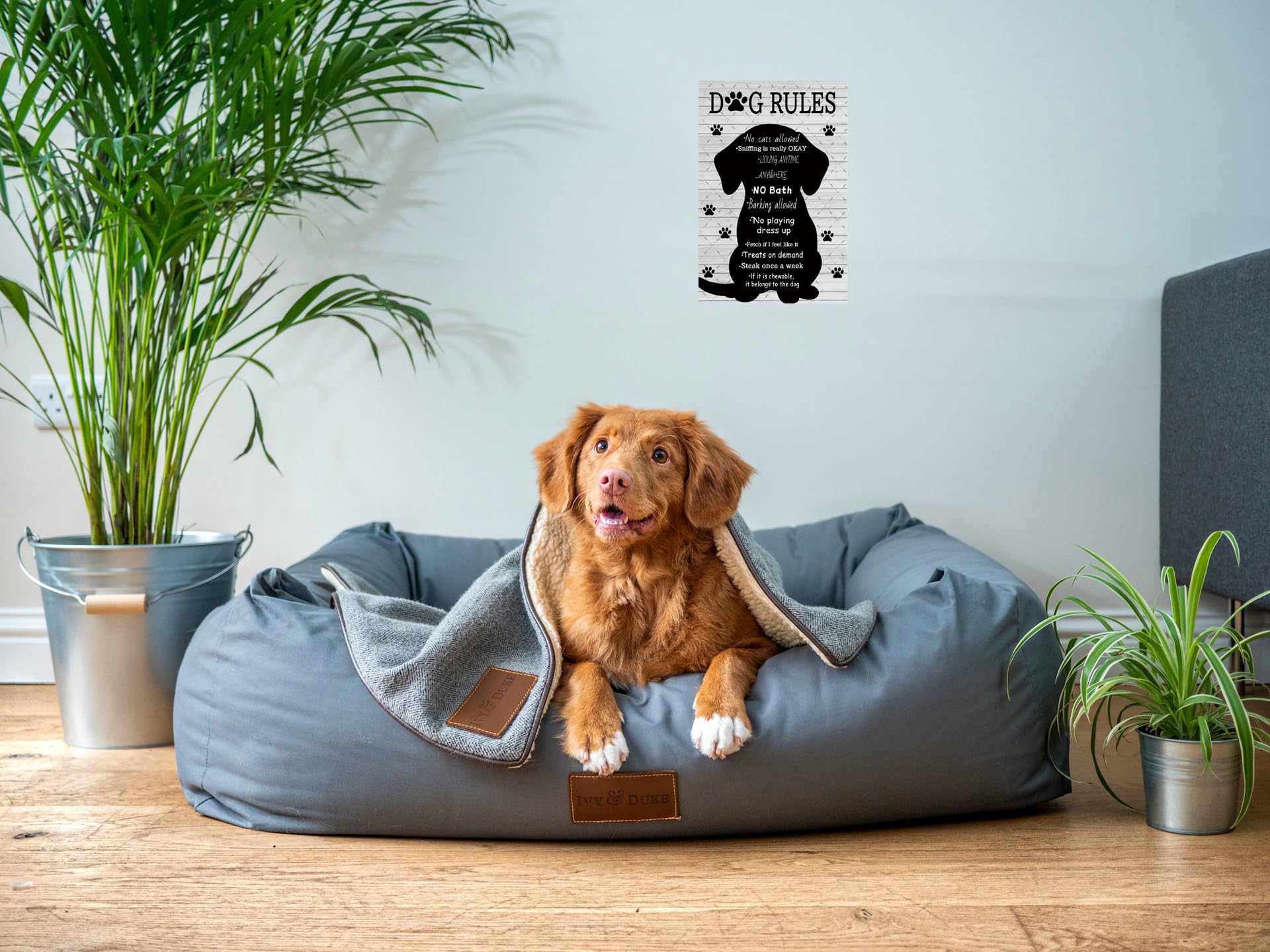 EMOHAT Targa In Metallo 'This Home Is Filled With Kisses' Per Cani - Decorazione Parete 30,5x20,3 Cm (Testo Inglese)