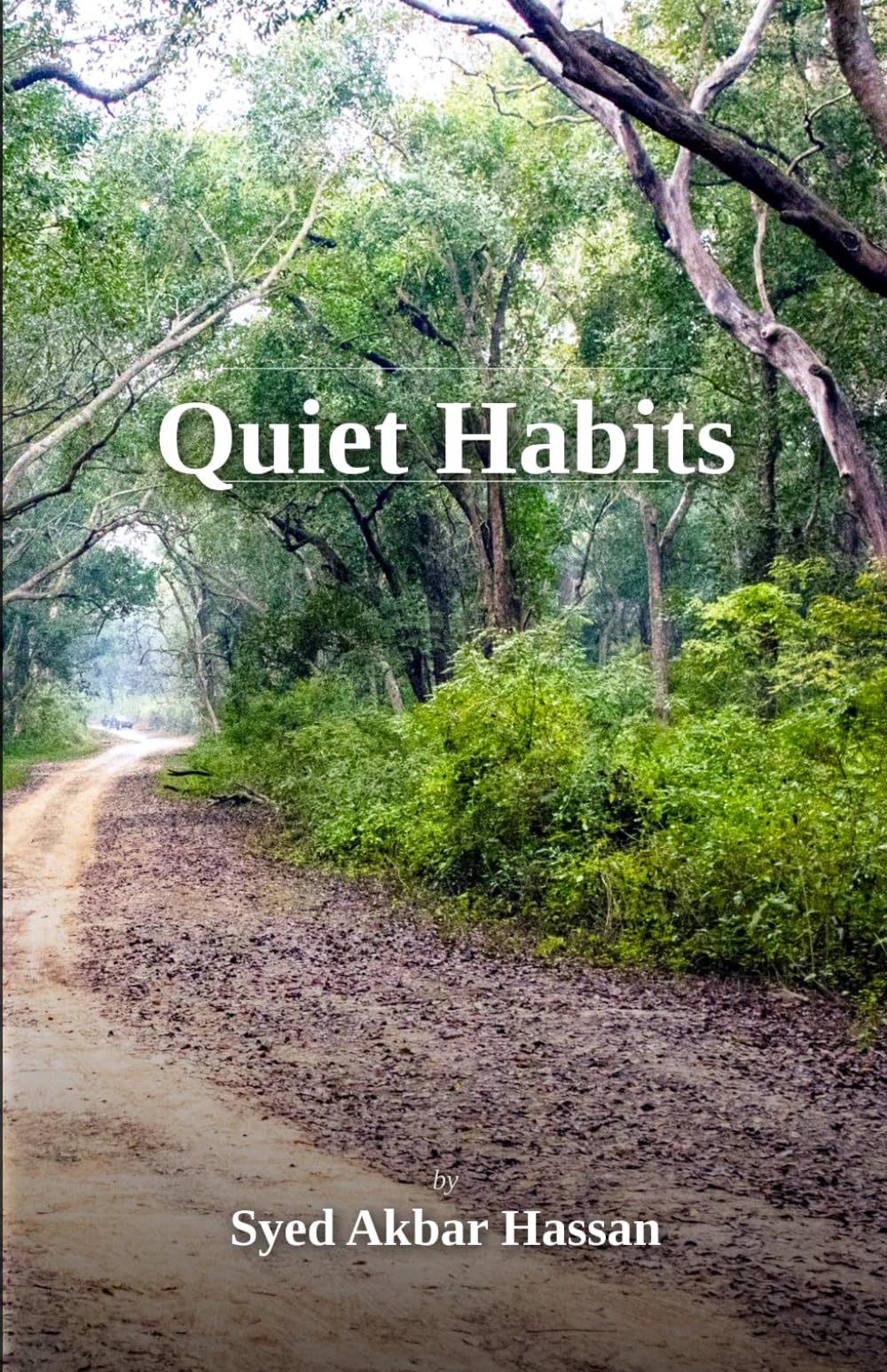 Quiet Habits: Stories of Ordinary Lives and Silent Transformations