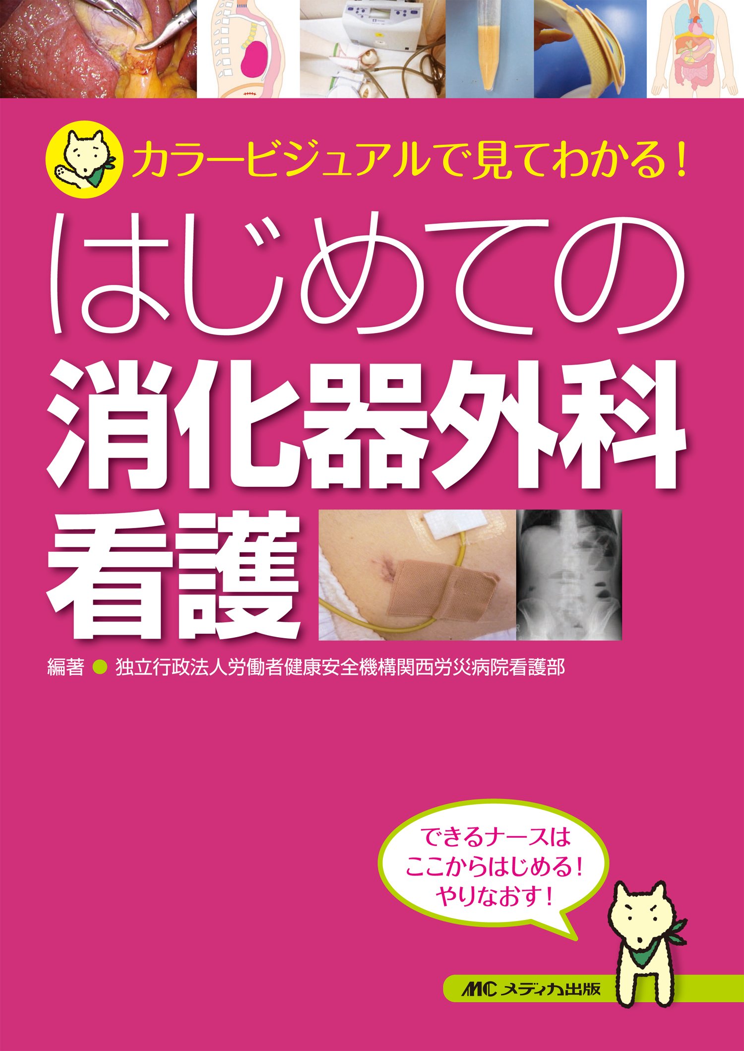 ★看護★消化器の本　4冊セット★ はじめての消化器外科看護: カラービジュアルで見てわかる! | 独立行政