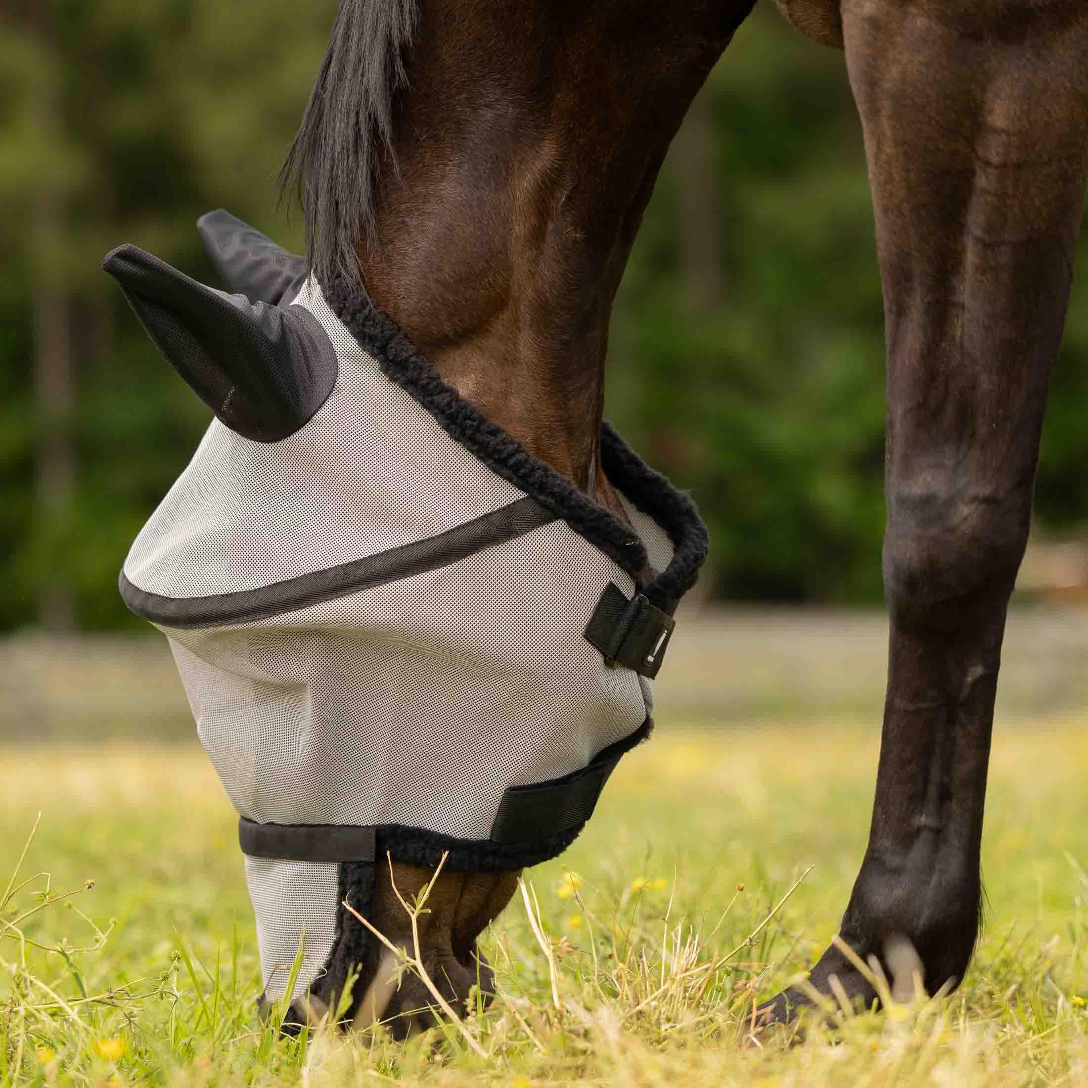 Equinavia Máscara antimoscas con nariz desmontable, color gris, caballo