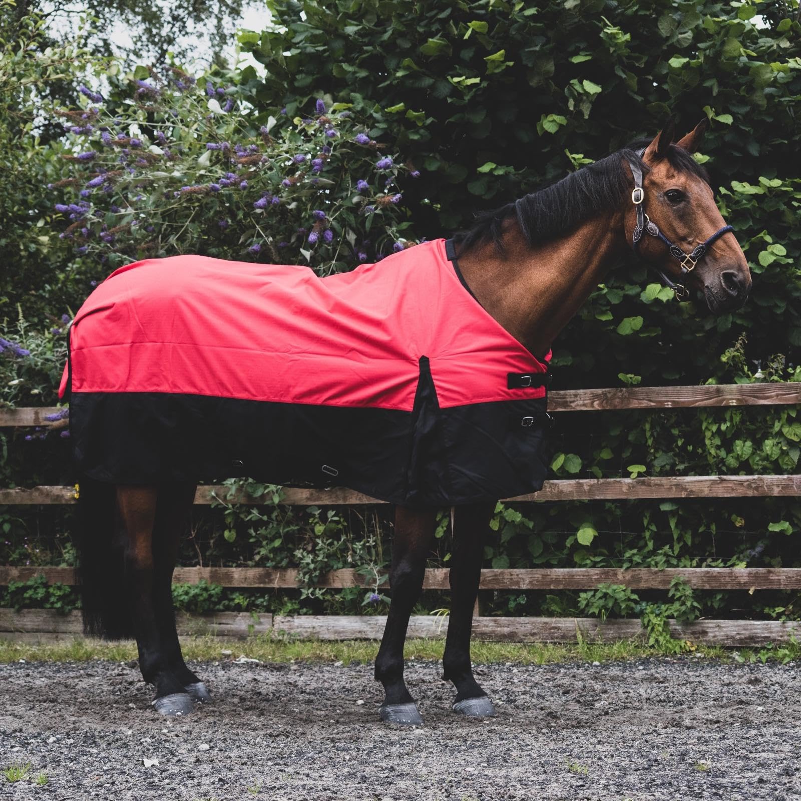 Equitack 1200D Winterdecke Pferd, 155cm | Regular Regendecke Pferd mit Fleece Lining | wasserdichte Outdoordecke Pferd | Red/Black