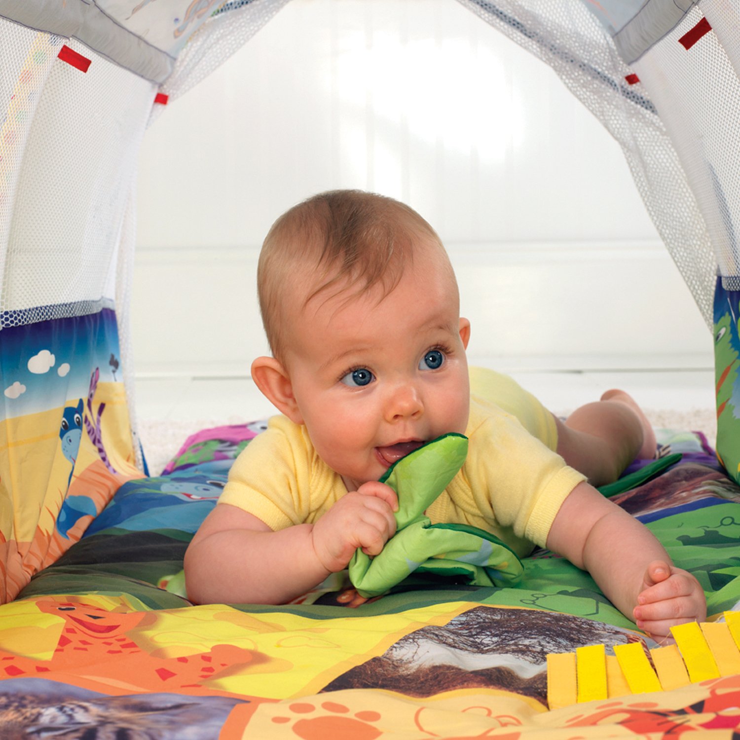 baby einstein tunnel