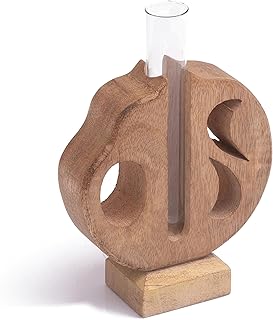 Wooden Plant Propagation Station Stand with Single Glass Test Tube Indoor Desktop Terrarium for Hydroponics Water Plant Cutting Flower Vase Planter Home Office Garden Decor Plant Lover Gifts, Brown