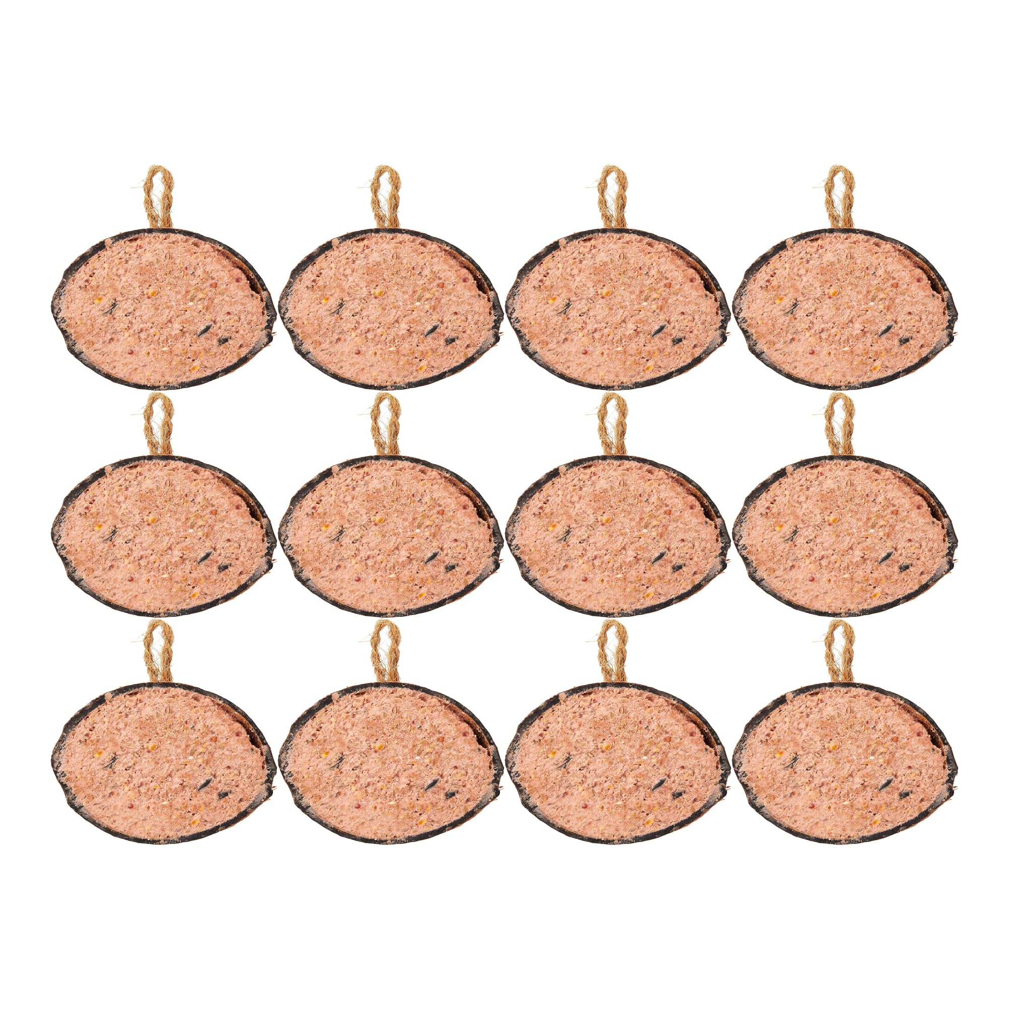 Garden Ting Berry Suet Coconut Halves Wild Bird Treat - 12 Count