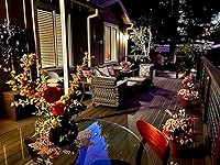 Review Image by Carol A. Brandt