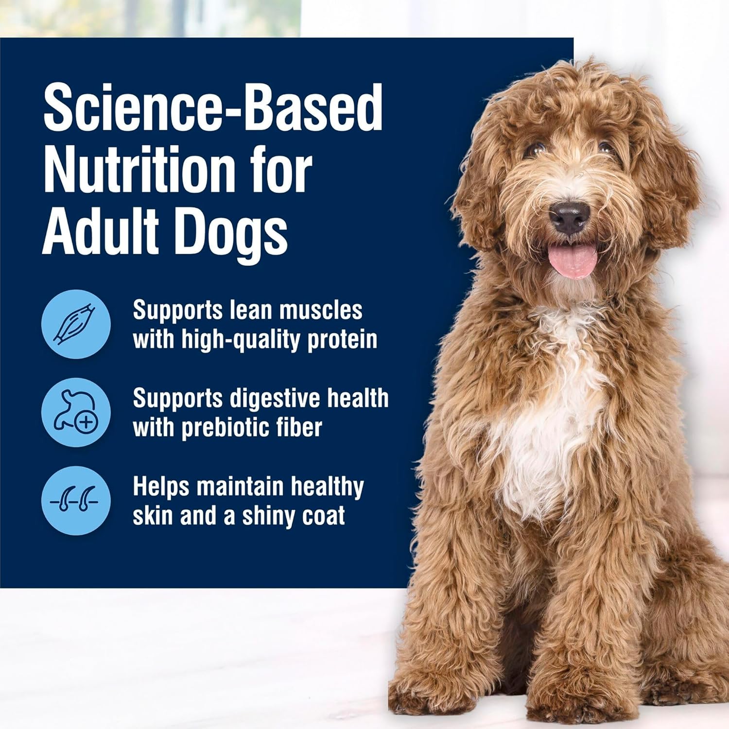 Blue Buffalo True Solutions Total Support Wet Dog Food for Adult Dogs, Made with Natural Ingredients, Chicken, 12.5-oz. Cans (12 Count)