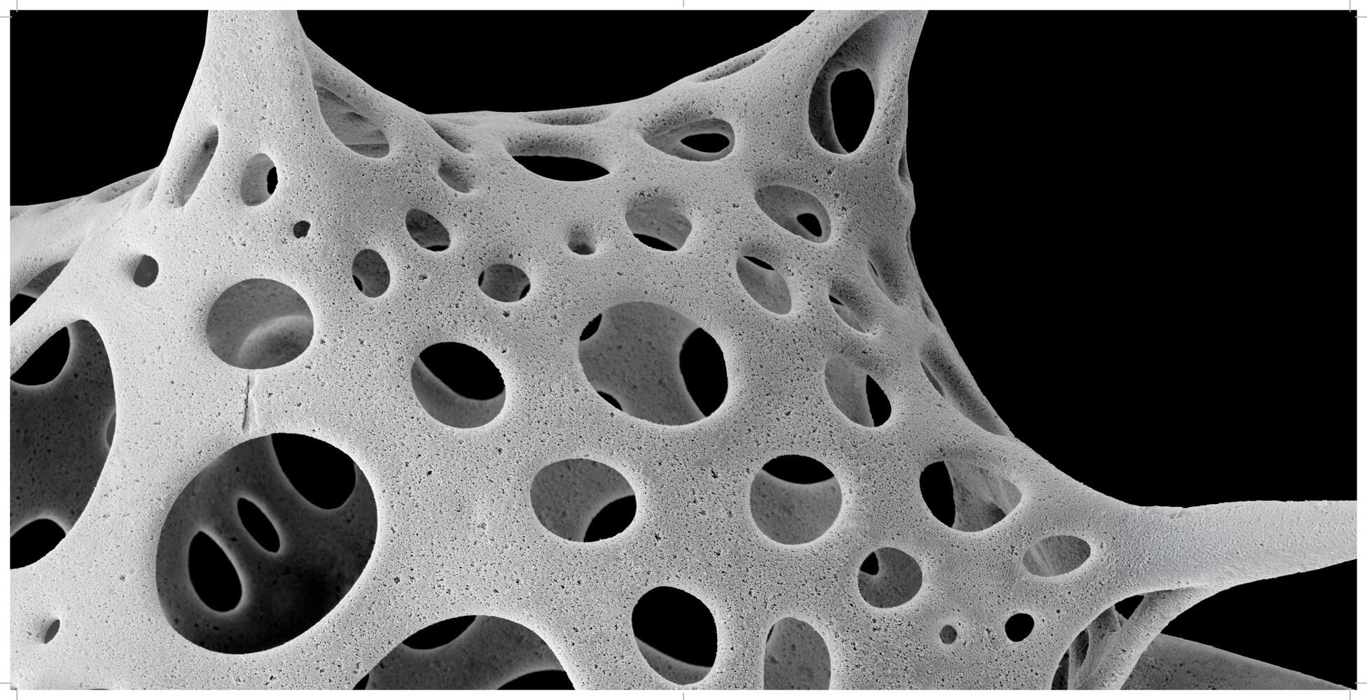 Nanocosmos: Journeys in Electron Space